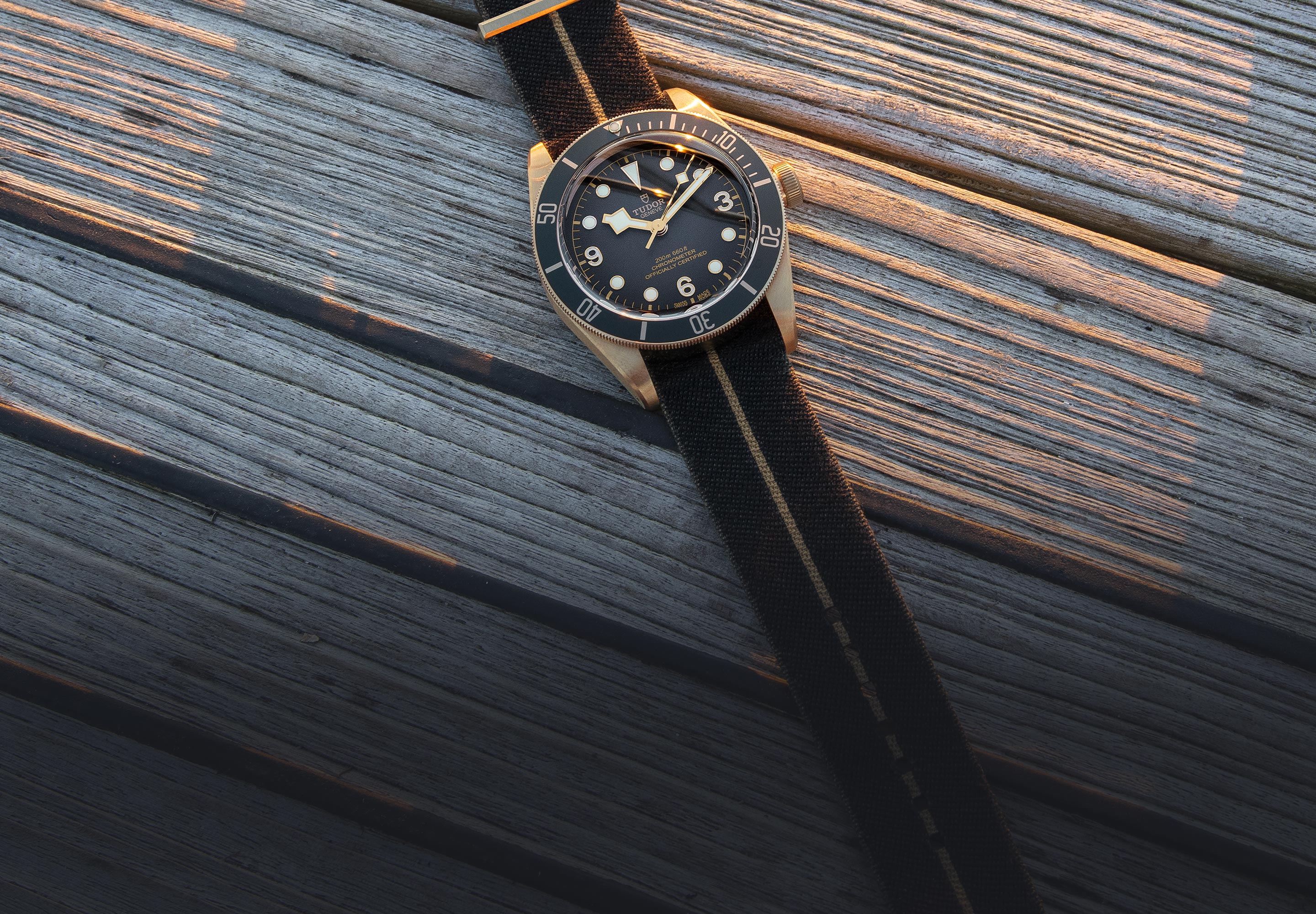 2019 tudor black bay bronze best sale