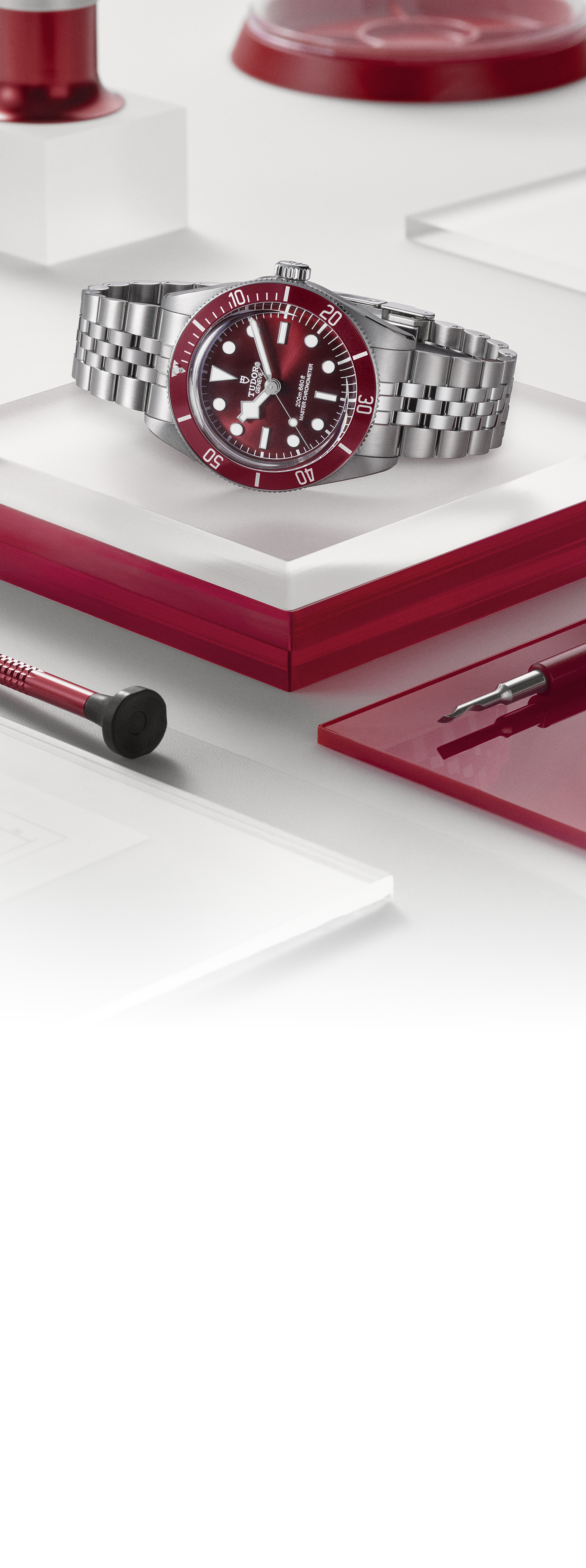 チューダーのモデル、ブラックベイ 58 ウォッチを見る | チューダー