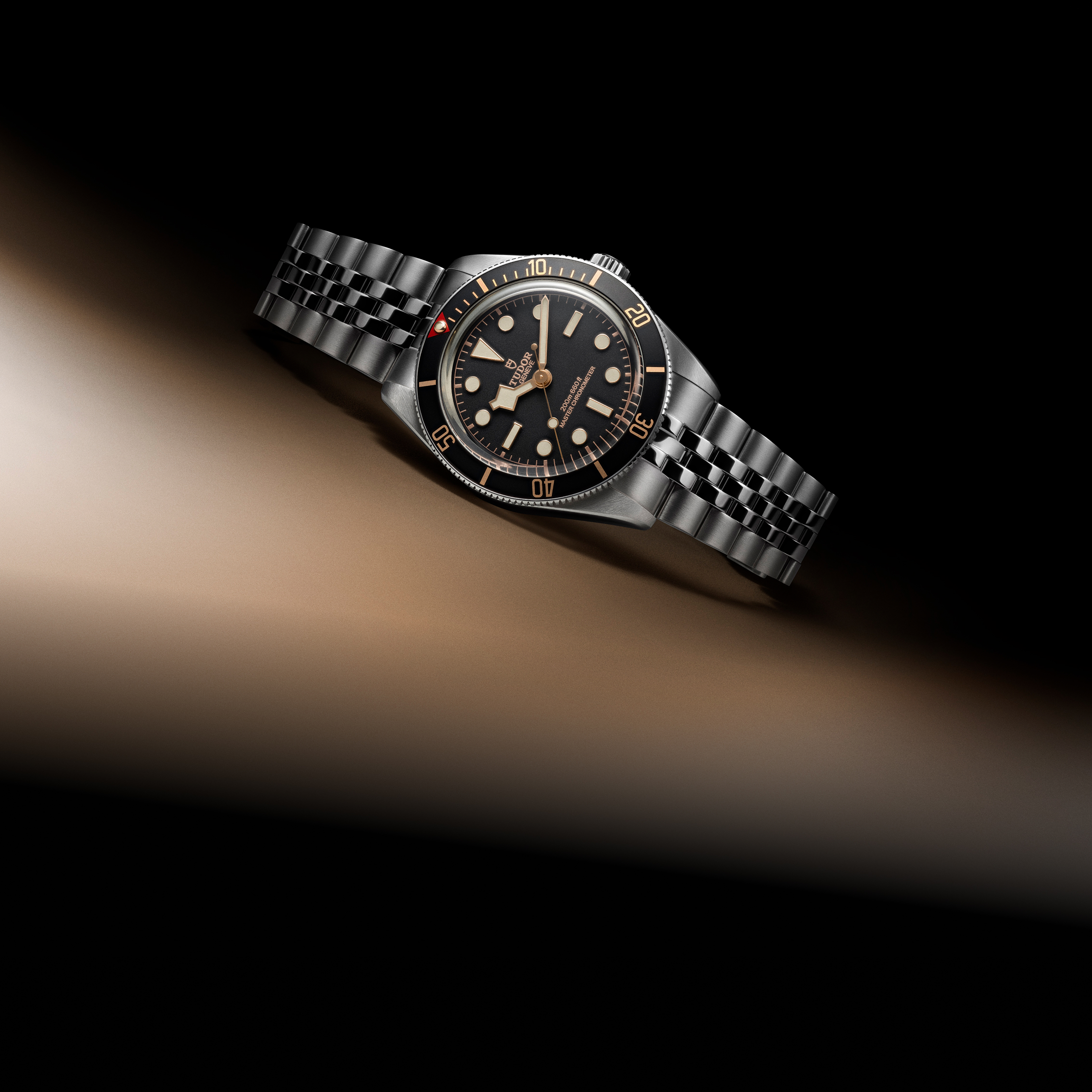 tudor-watch-family-black-bay-