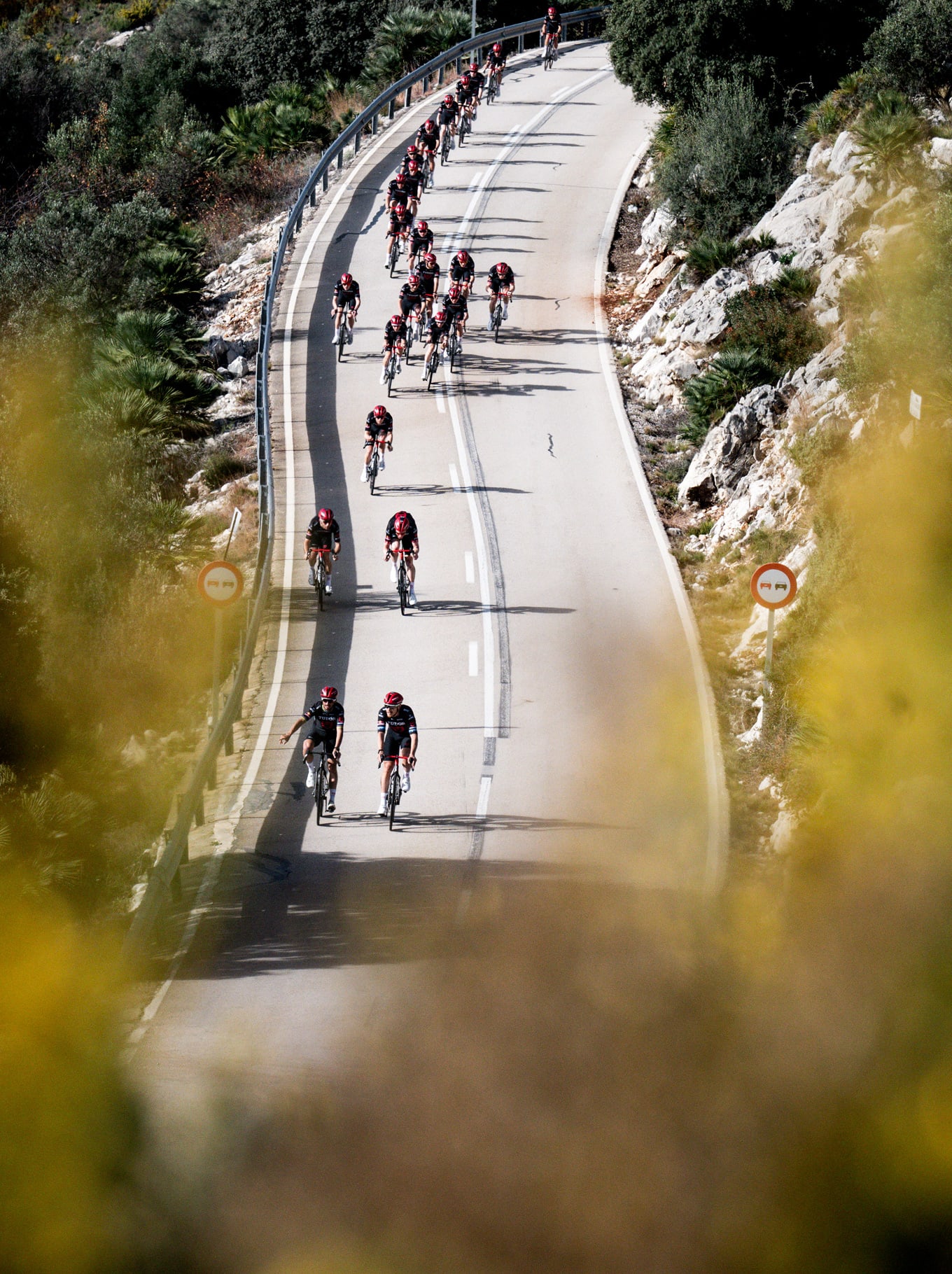 TUDOR 프로 사이클링 팀