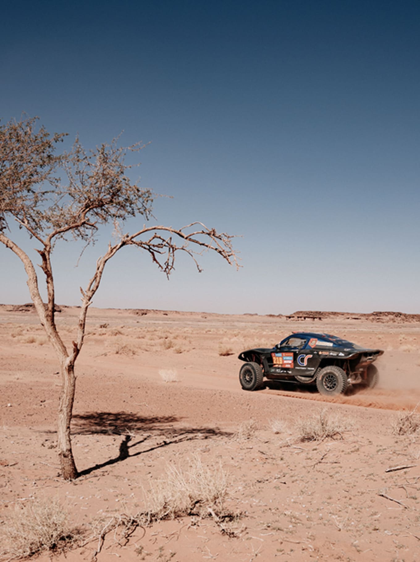 Wüste Sahara