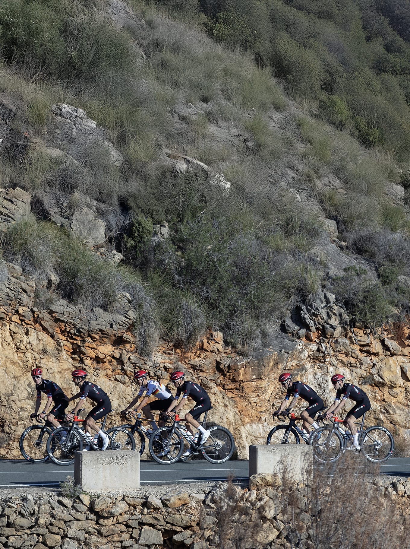 Het TUDOR Pro Cycling Team