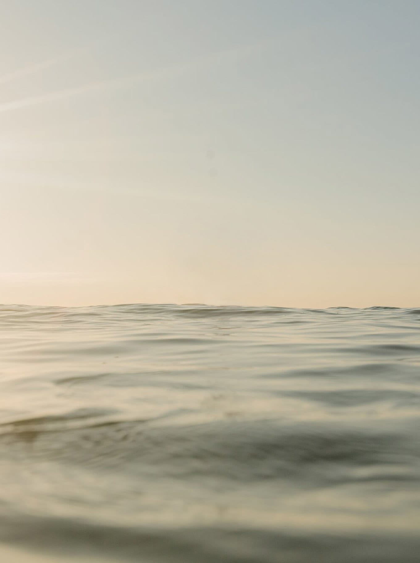 海