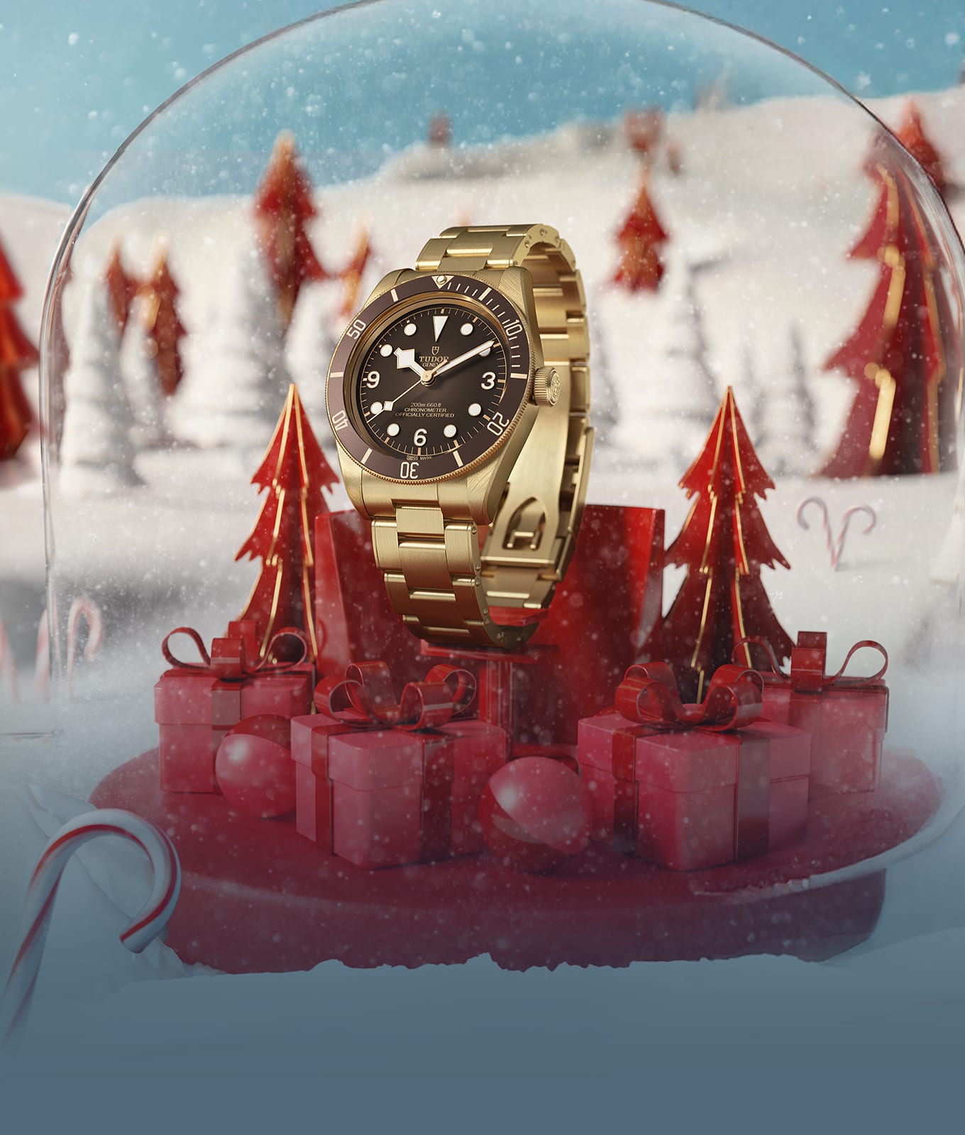 Black Bay 58 Bronze