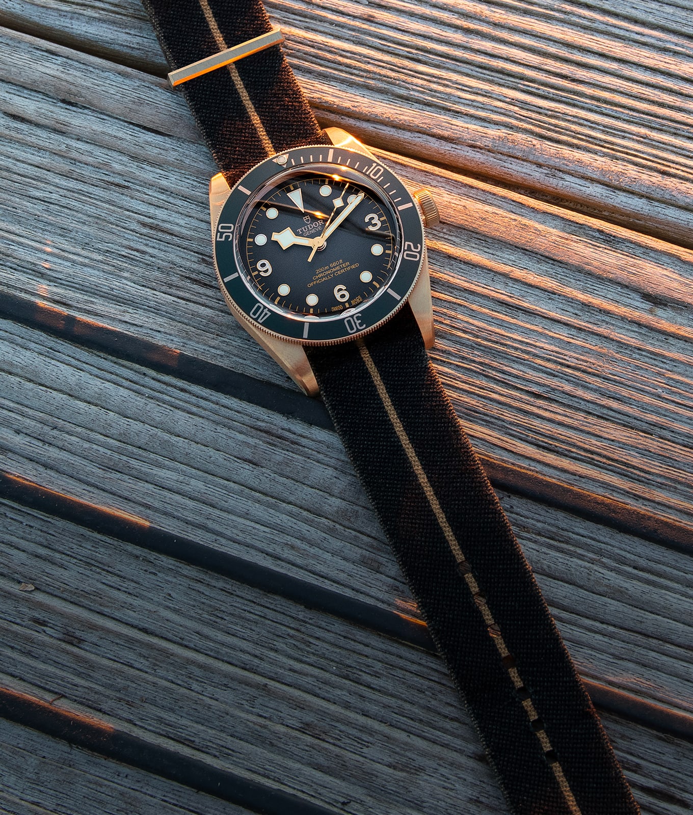 Black Bay Bronze
