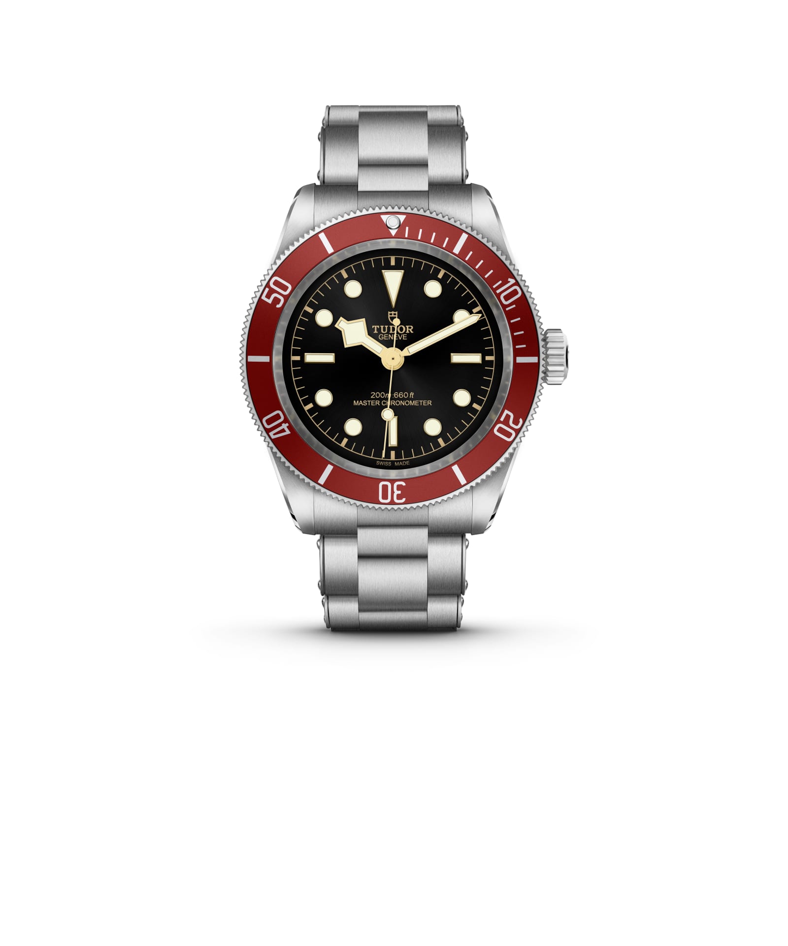 Tudor Black Bay