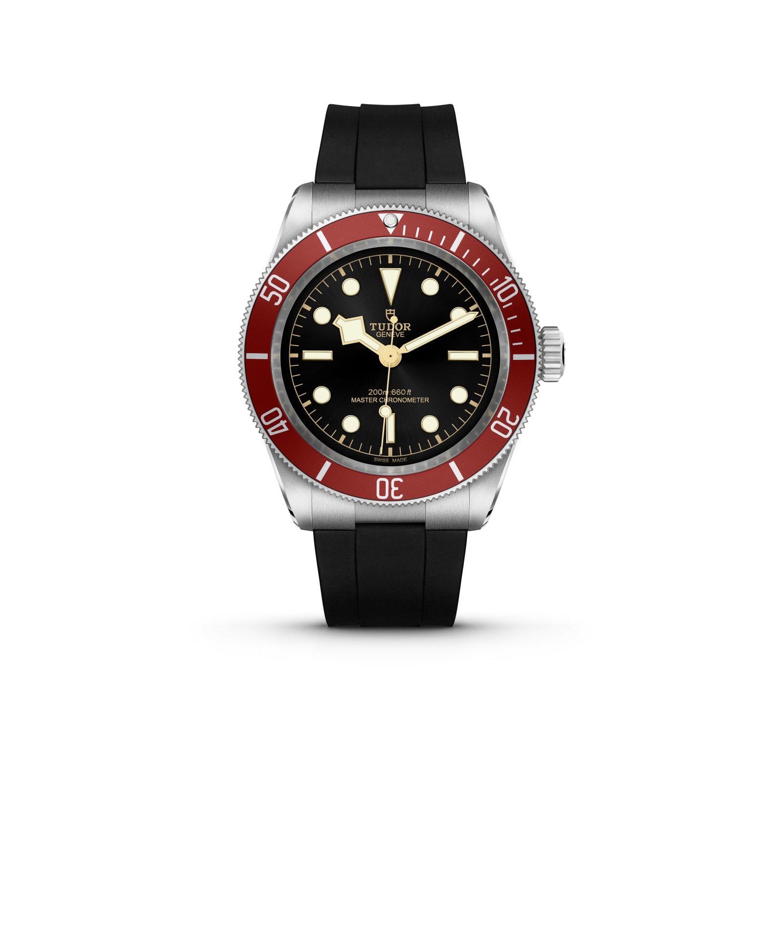 Tudor Black Bay