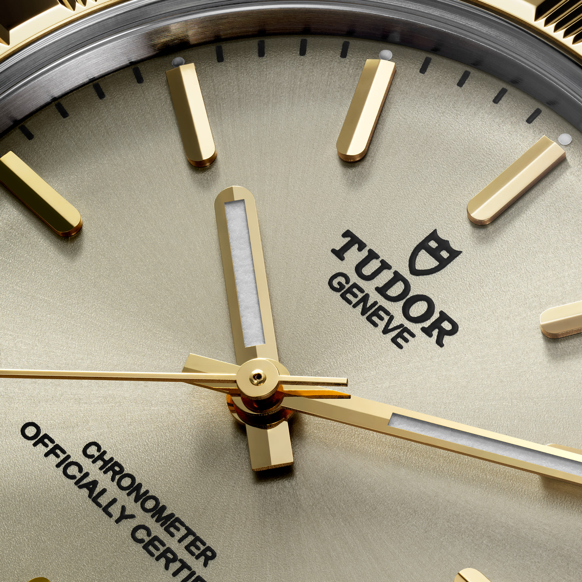 Esfera del Tudor Royal 