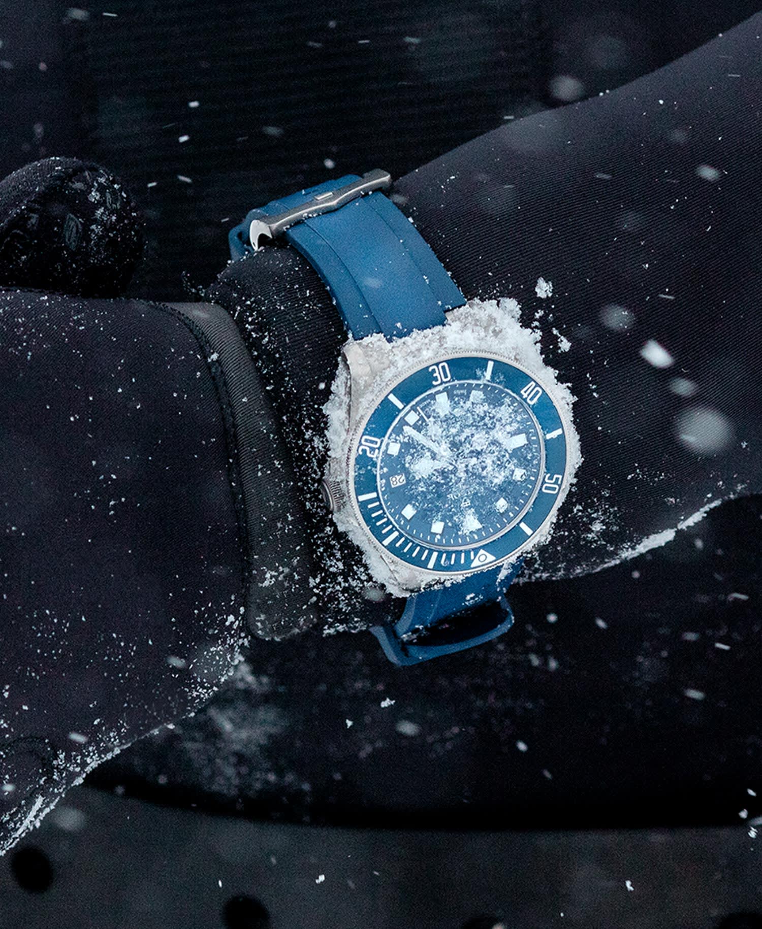 Tudor pelagos diver best sale