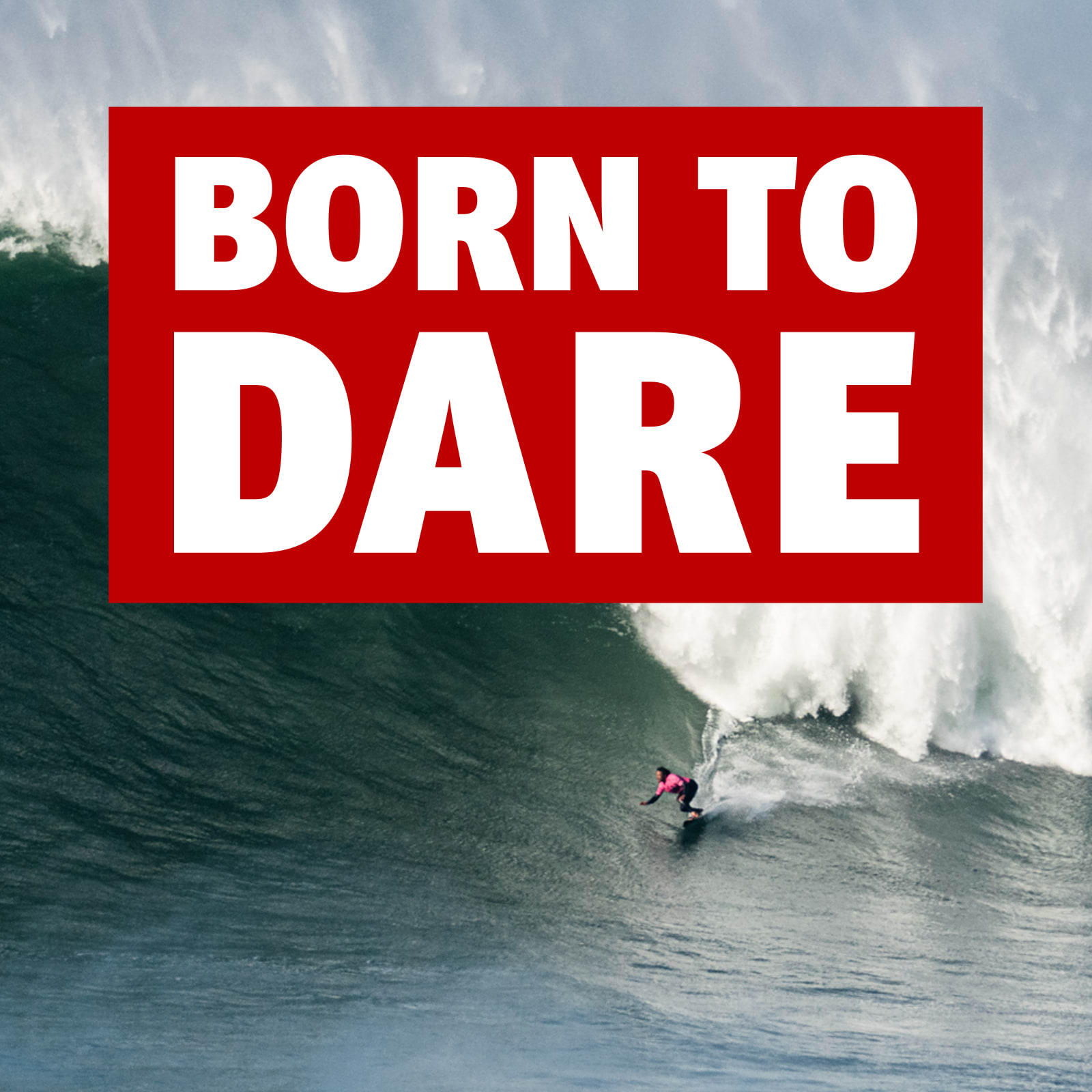 לוגו Born to dare