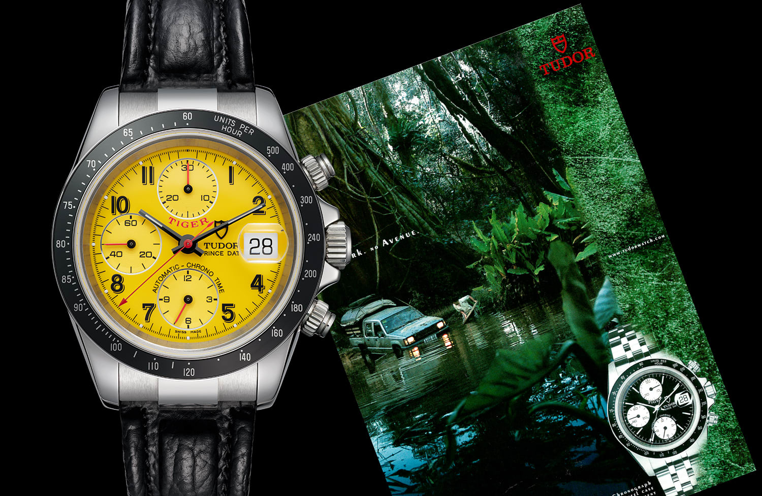 TUDOR 프린스 데이트 타이거