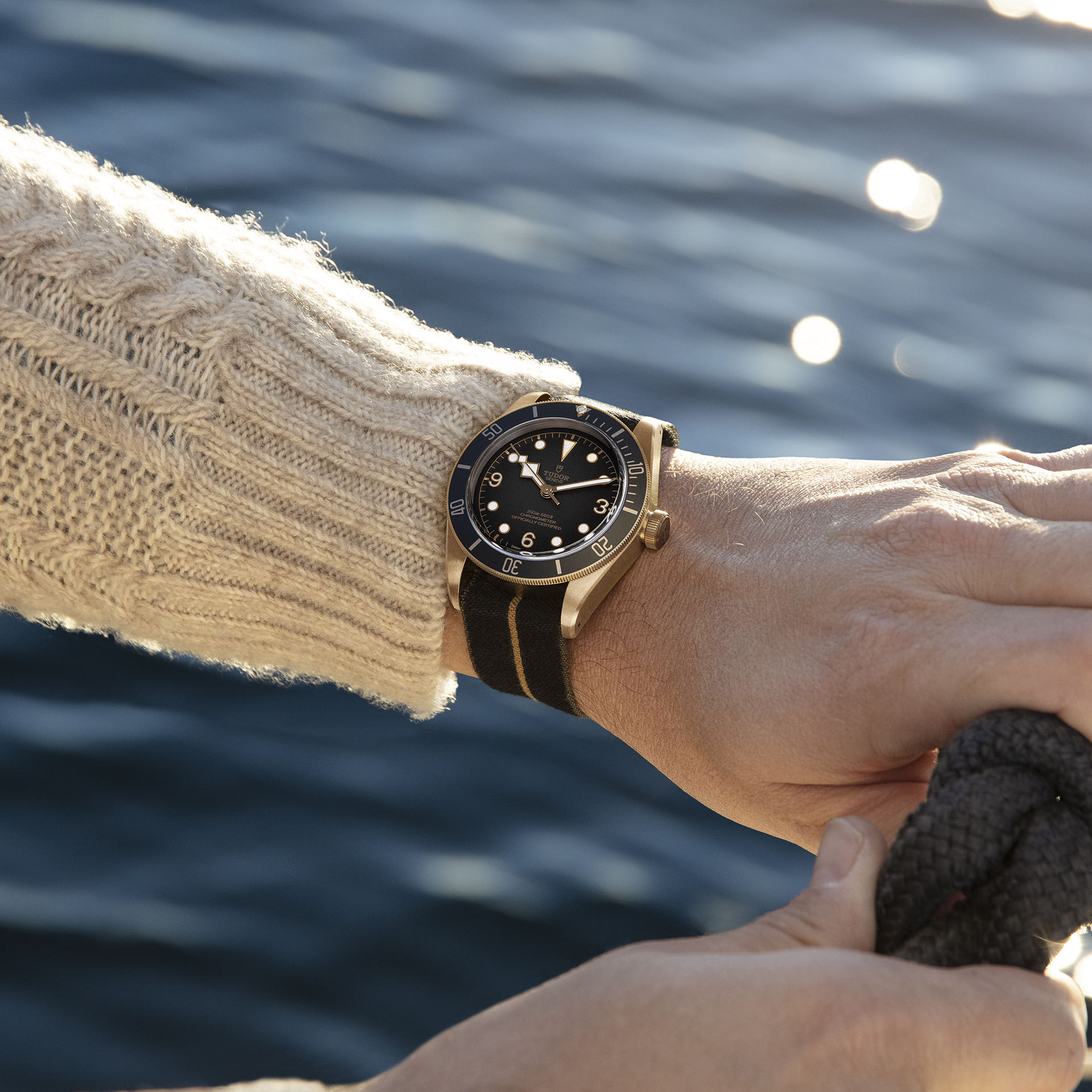 Tudor black bronze cheap