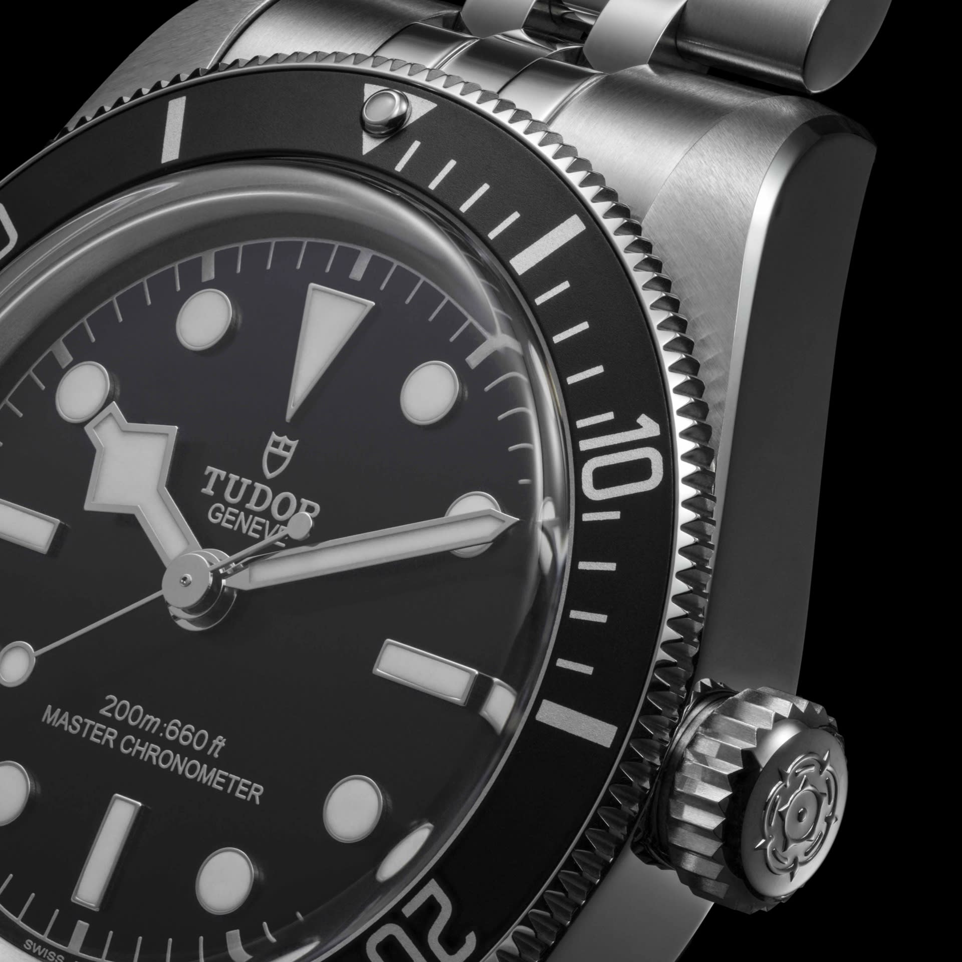Tudor and black online