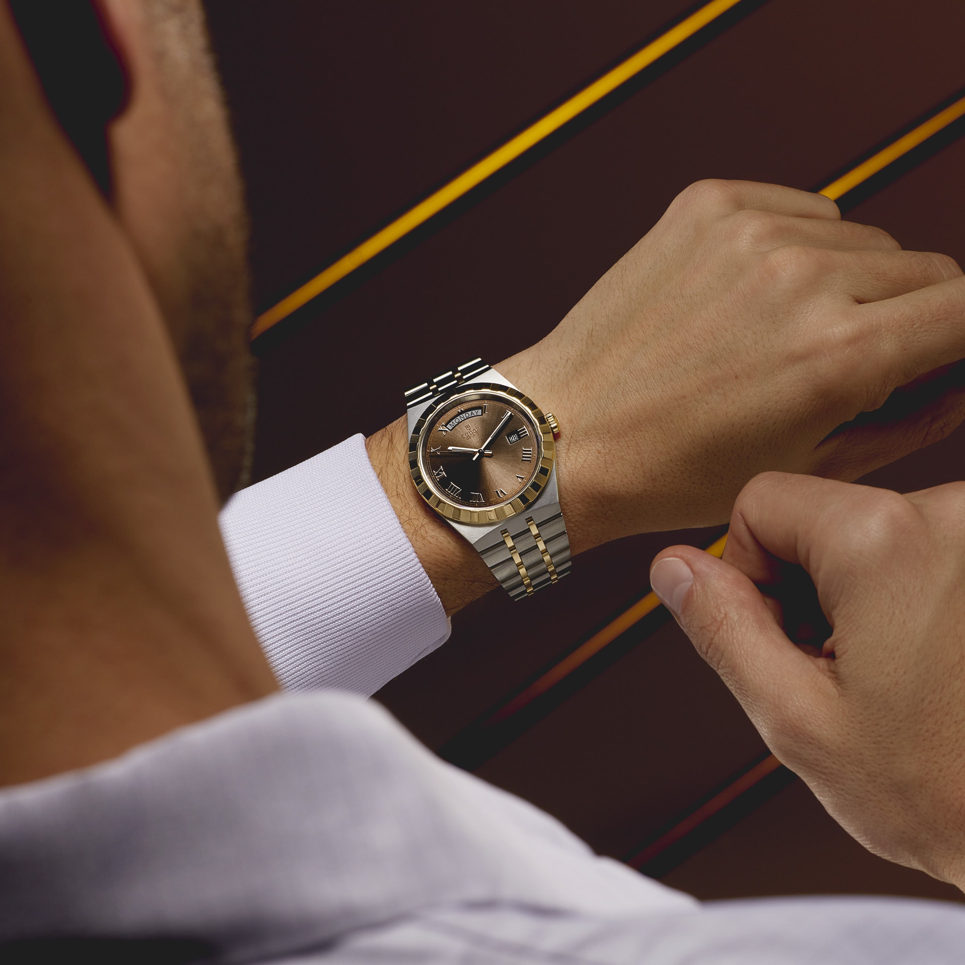 Tudor royal line watch deals