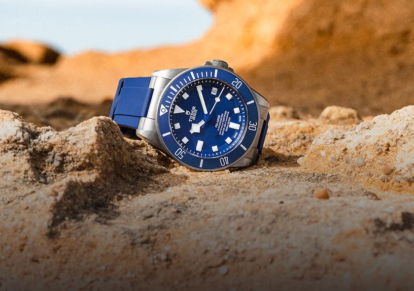 Tudor pelagos red store