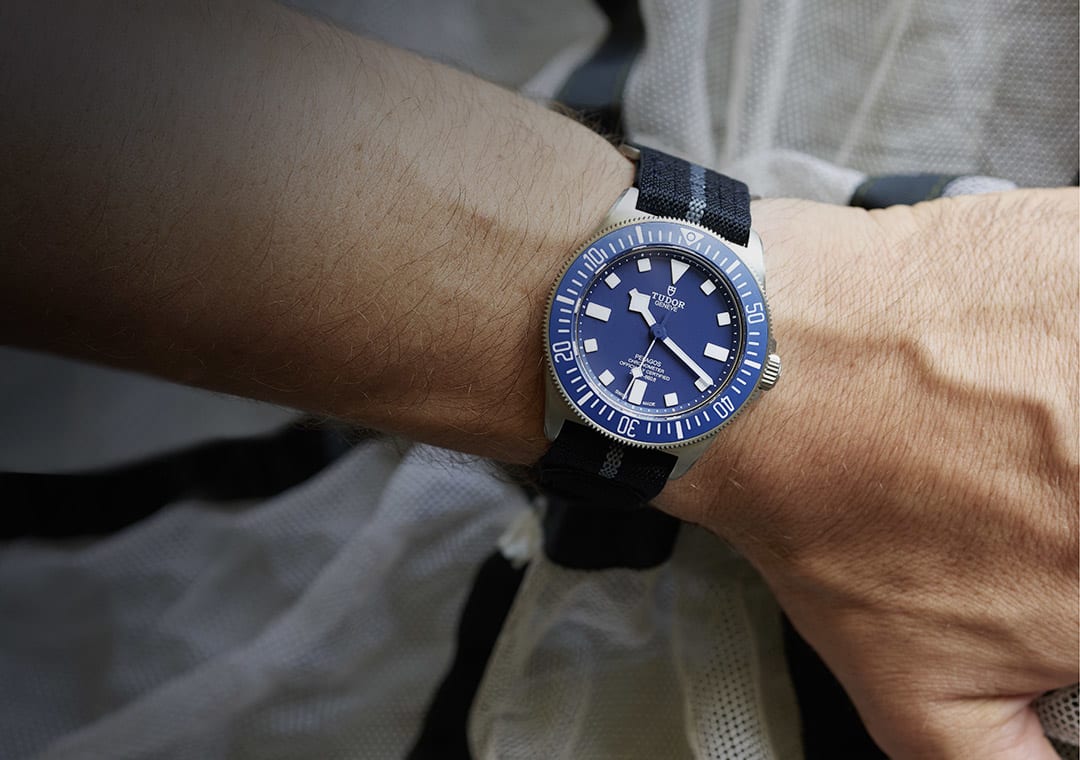 L’esprit de la Pelagos