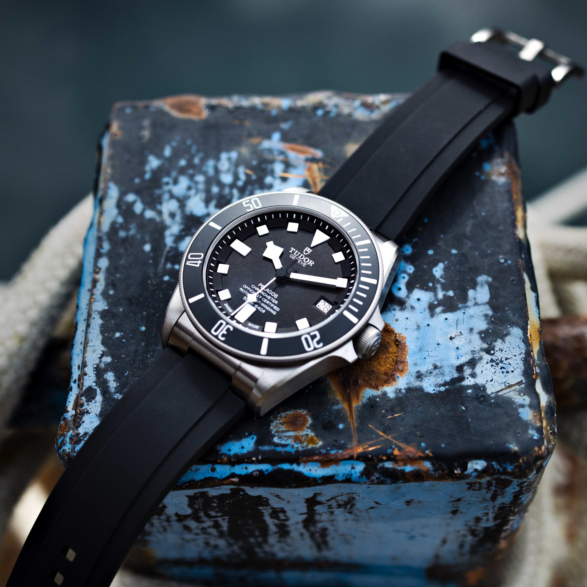 選手支給品 Tudor チューダープロサイクリング 非売品 ダウンジャケット チューダー Pelagosウォッチ - セラミック製マットブラックディスク