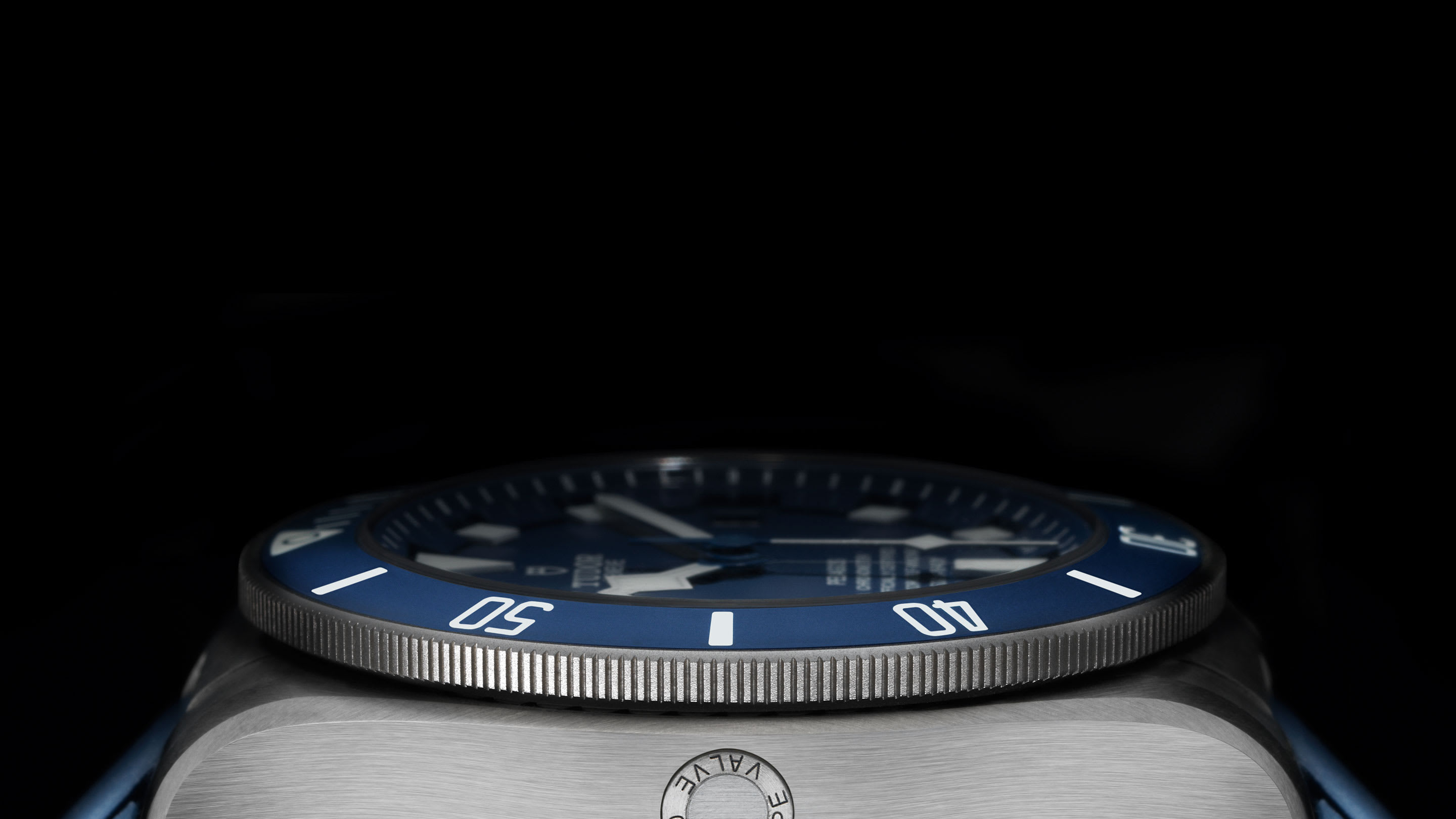 Tudor divers hot sale
