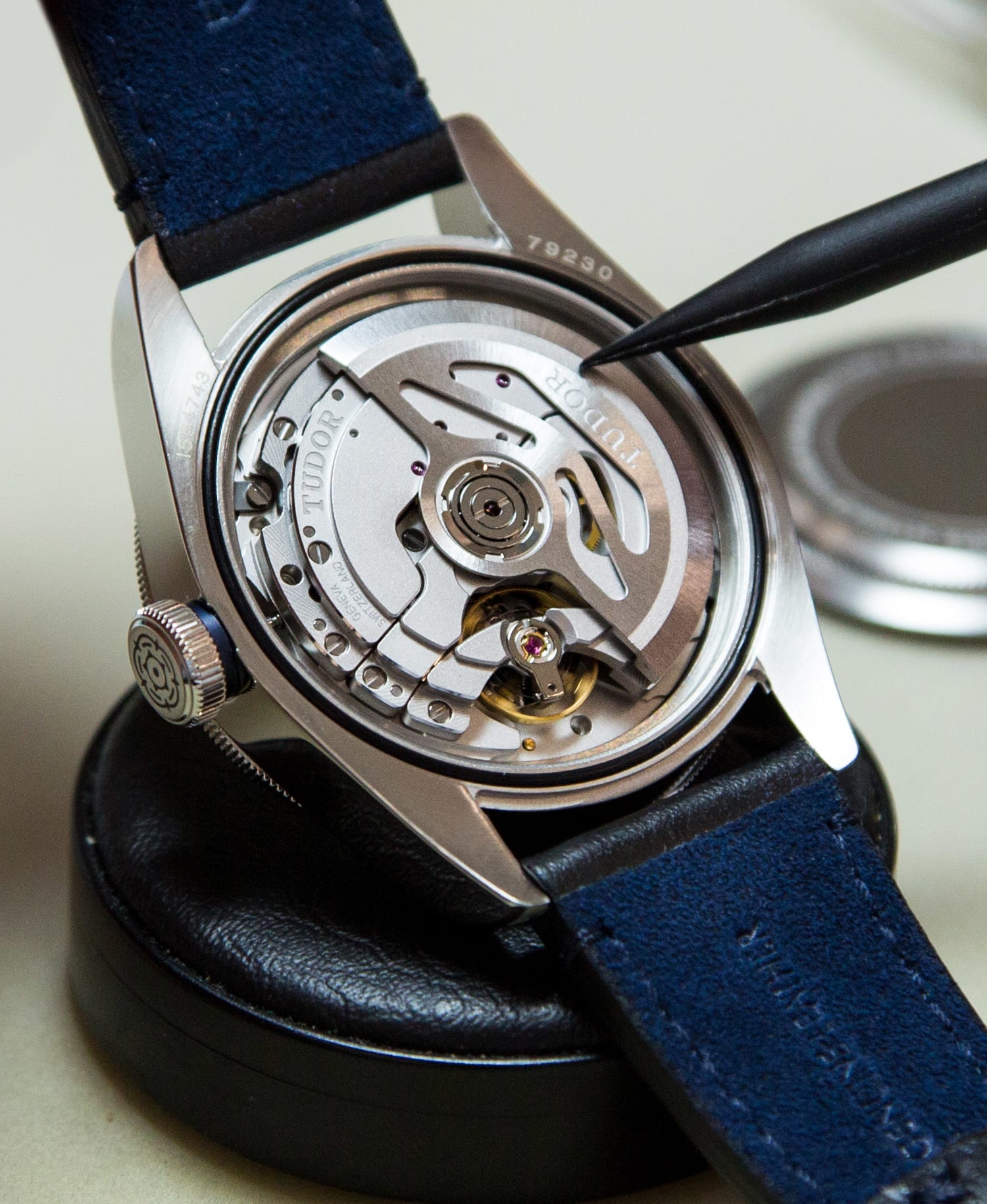 Tudor ranger movement online