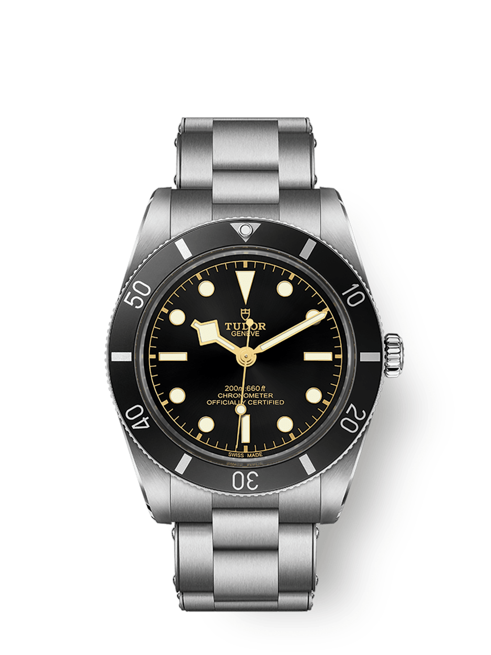 Tudor Black Bay 54 M79000N-0001