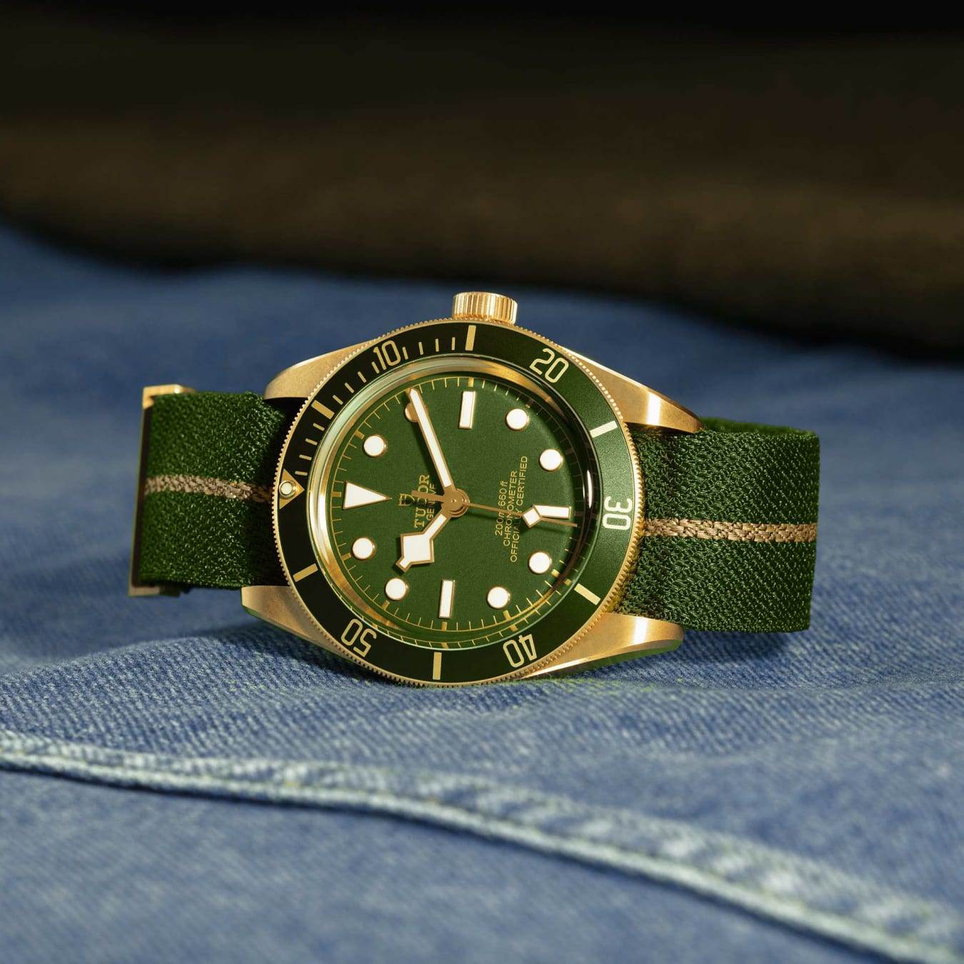 TUDOR Black Bay 58 18K m79018v 0001 TUDOR