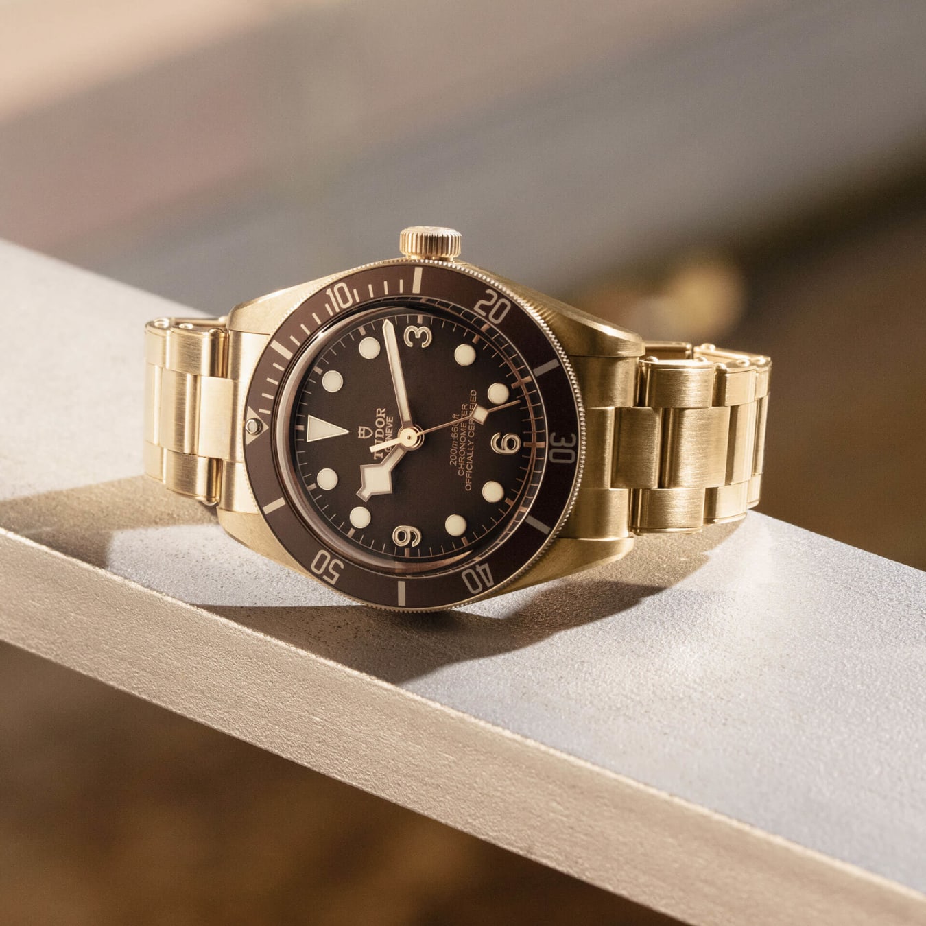 Tudor black bay brass sale