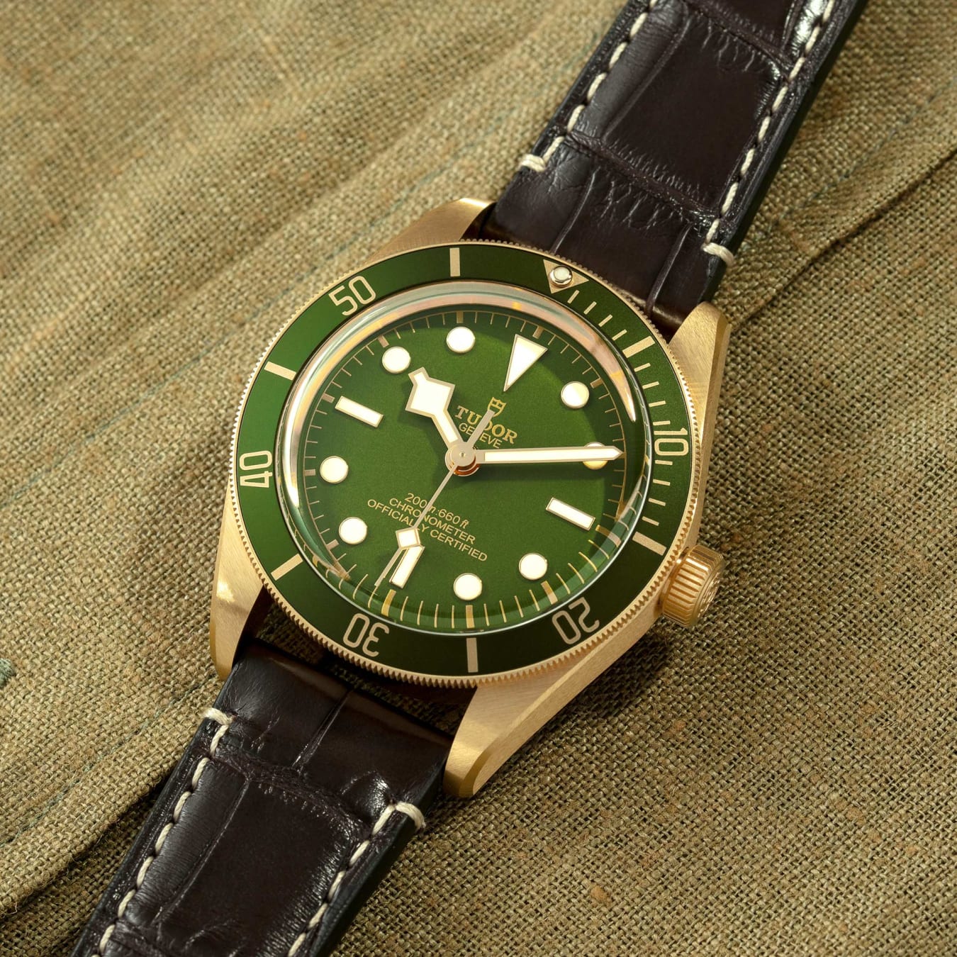 Green tudor black bay discount