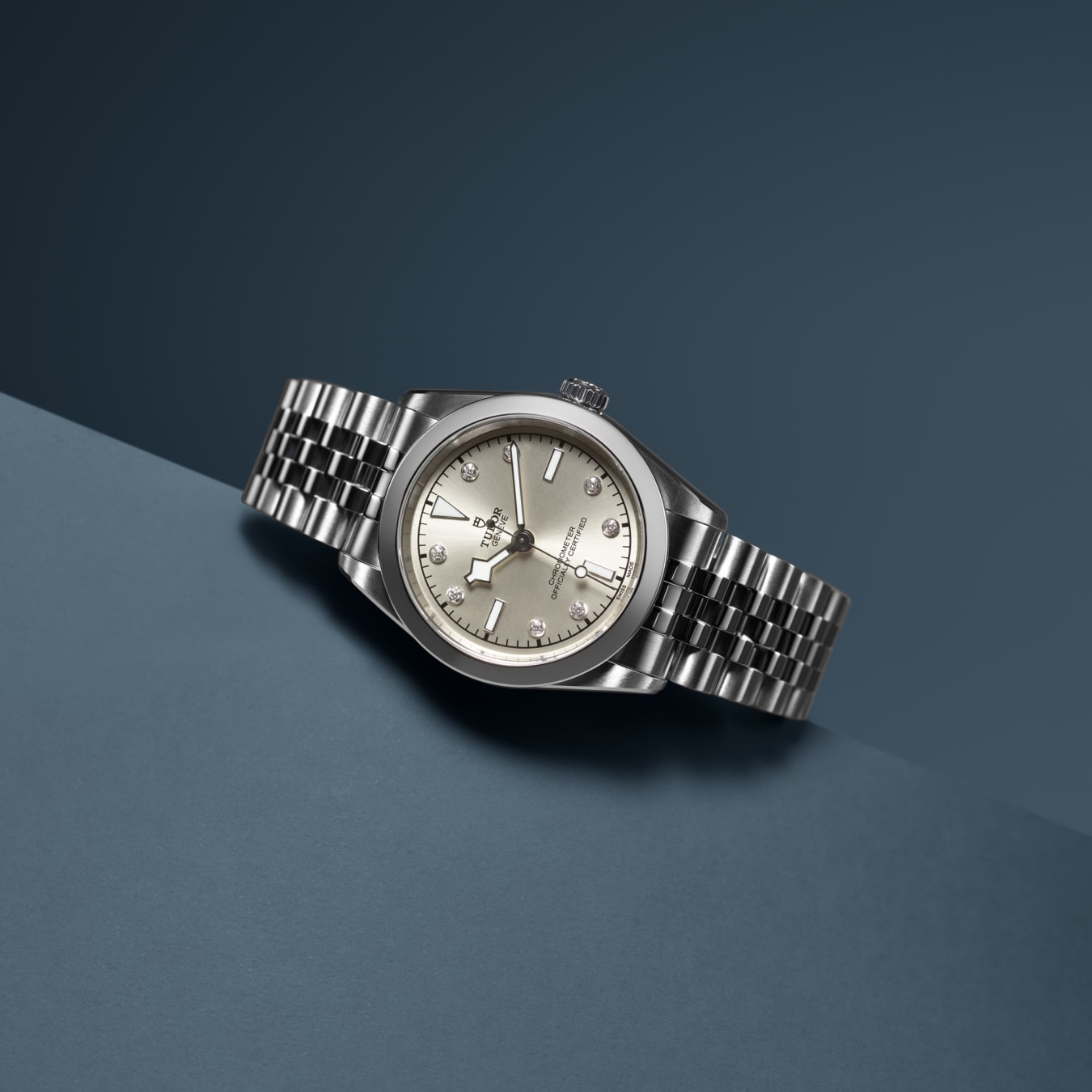 TUDOR Black Bay 31 watch m79600 0006 TUDOR Watch