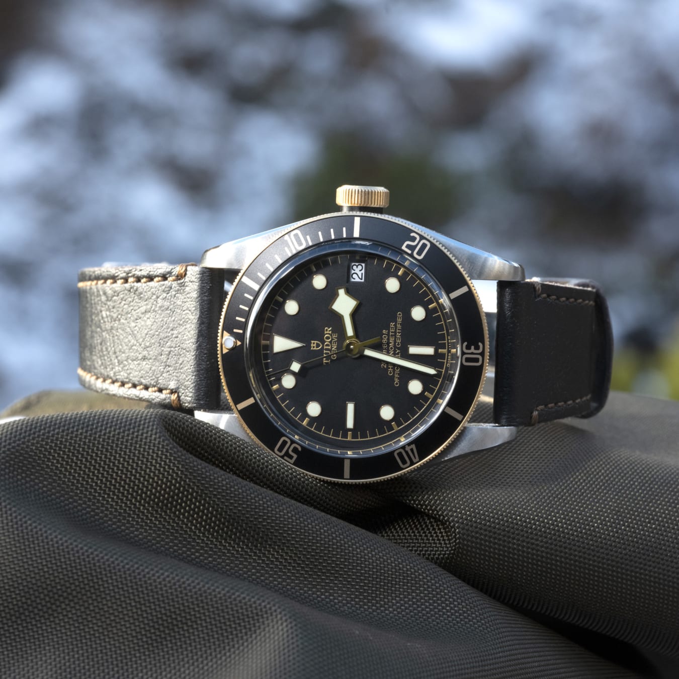 TUDOR Black Bay S G watch m79733n 0007 TUDOR Watch