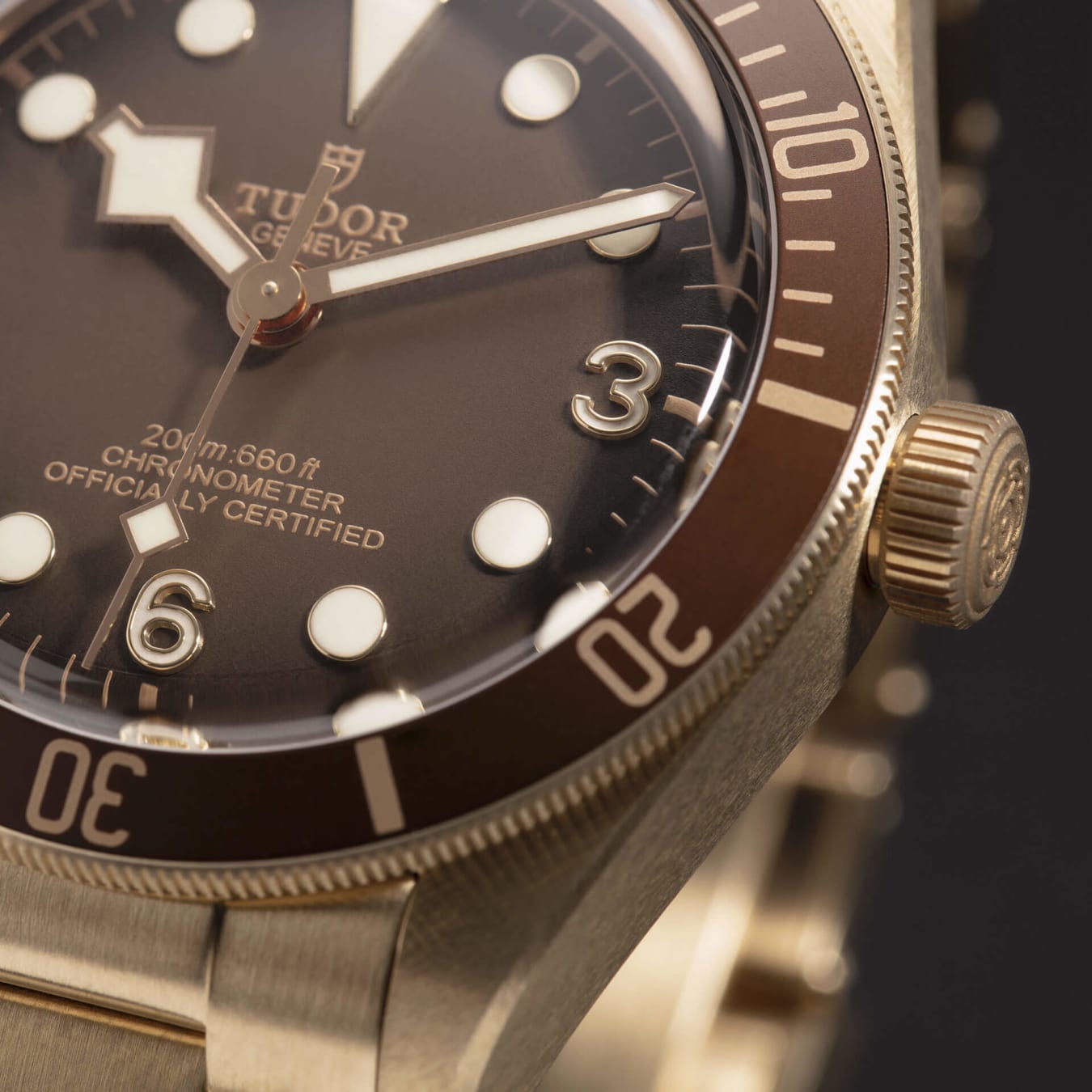 Tudor bronzo sale