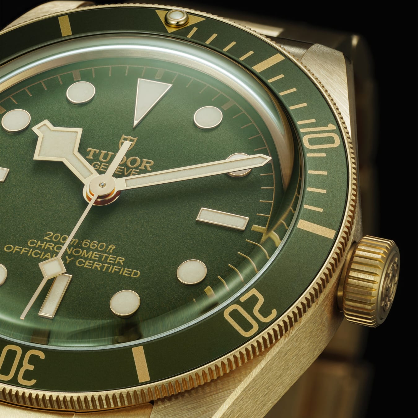 Green tudor watch deals