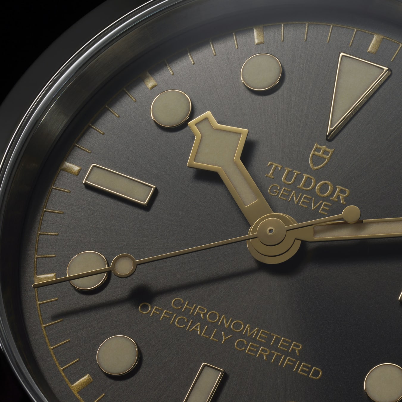 TUDOR Black Bay 36 watch - m79640-0001 | TUDOR Watch