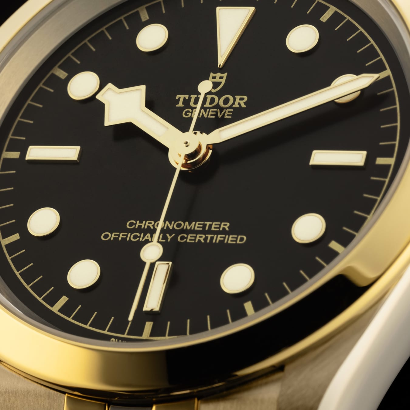 Tudor black bay 41 s&g 2025