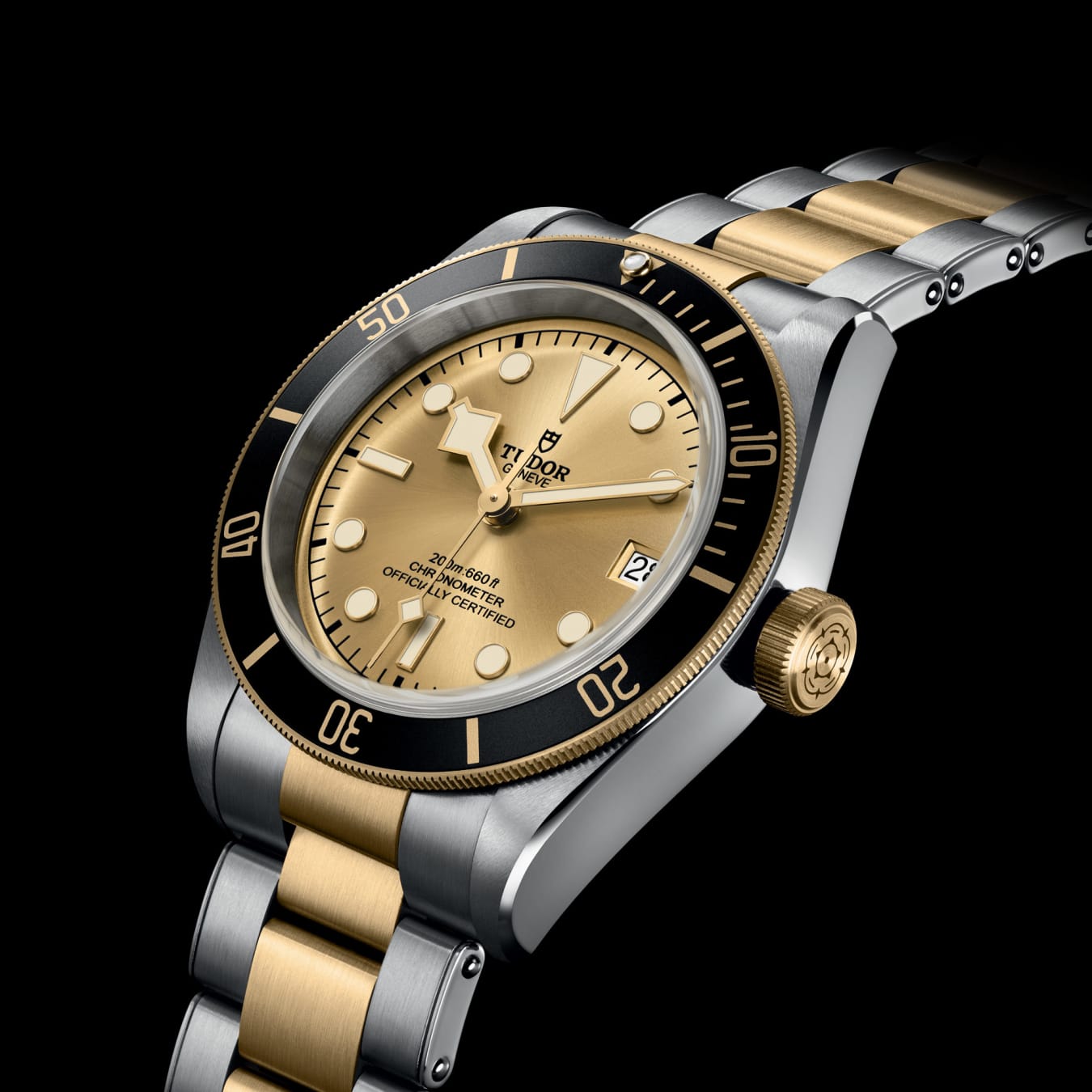 BLACK BAY 値下げ Tudor チュードル M79733N-0004 Black Bay S&G
