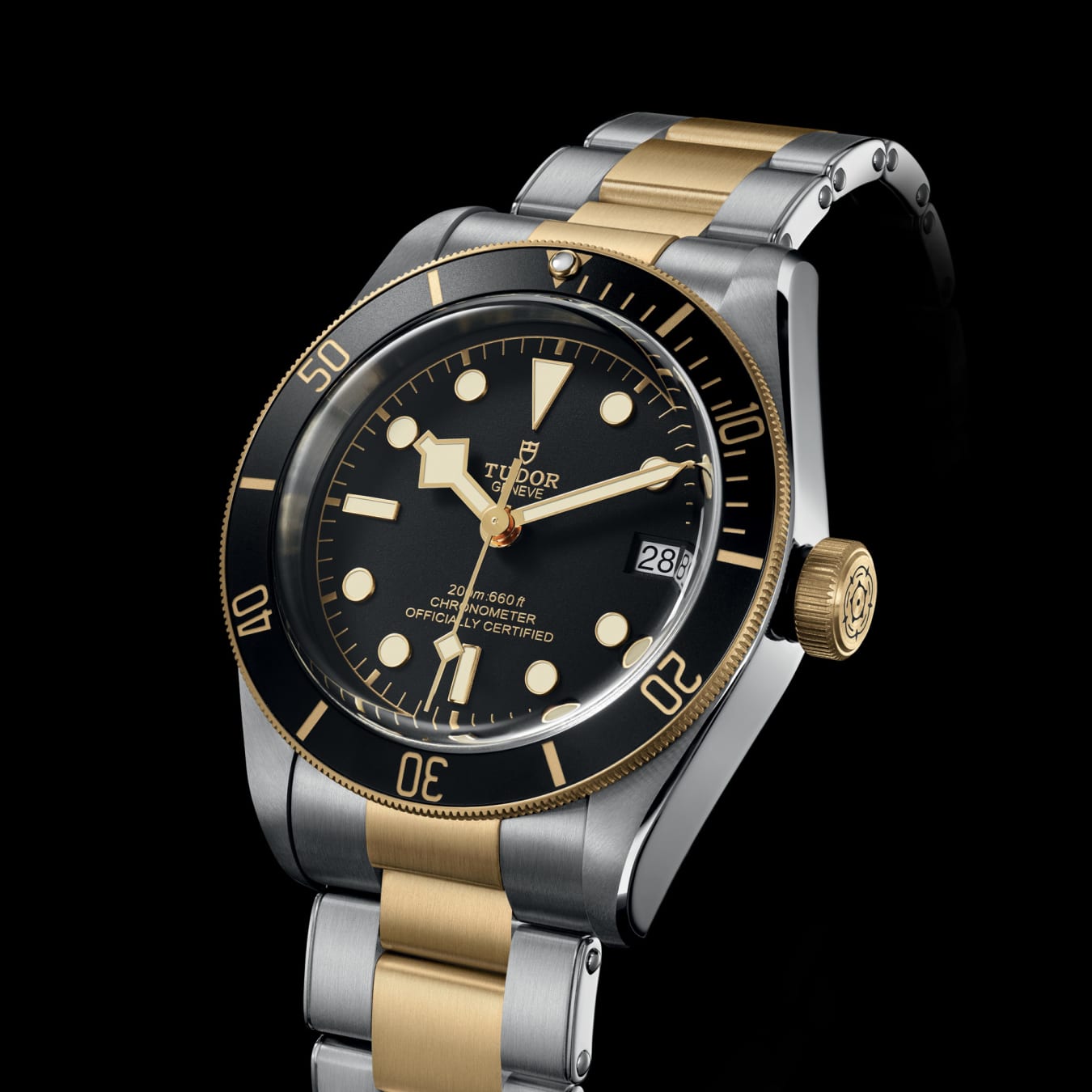 TUDOR Black Bay S G watch m79733n 0008 TUDOR Watch
