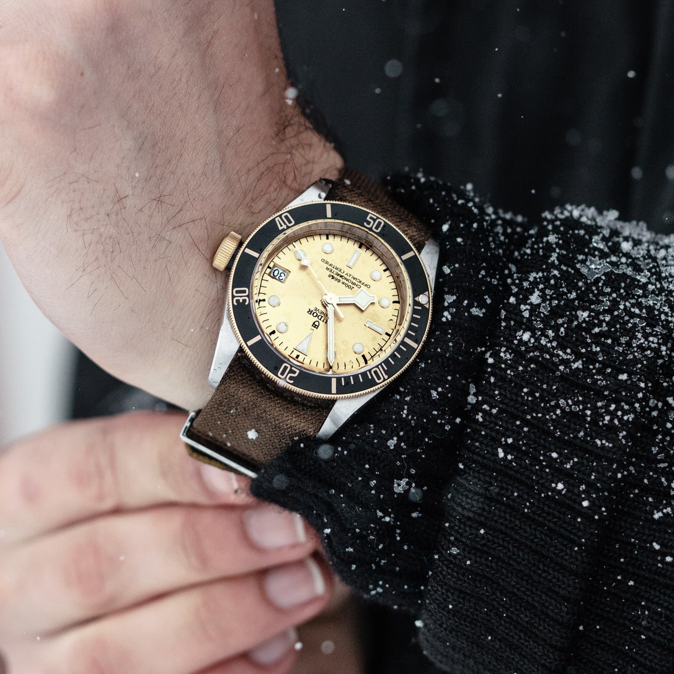 Tudor m79733n online