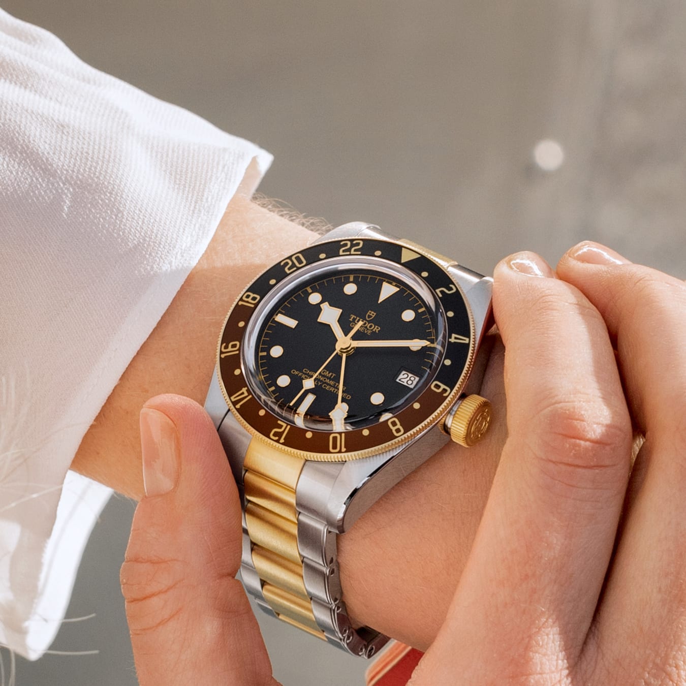 Tudor black bay gmt bezel cheap