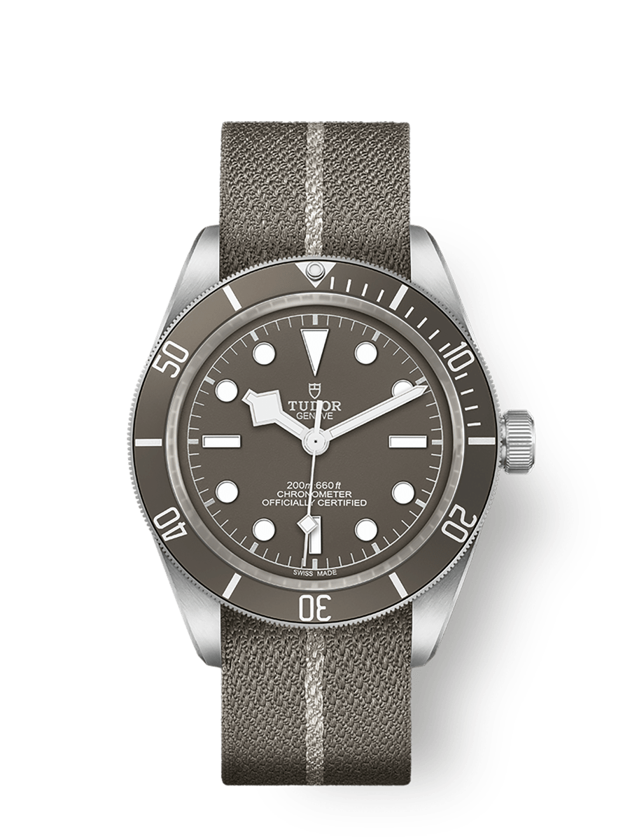 Tudor Black Bay 58 925 — Taupe