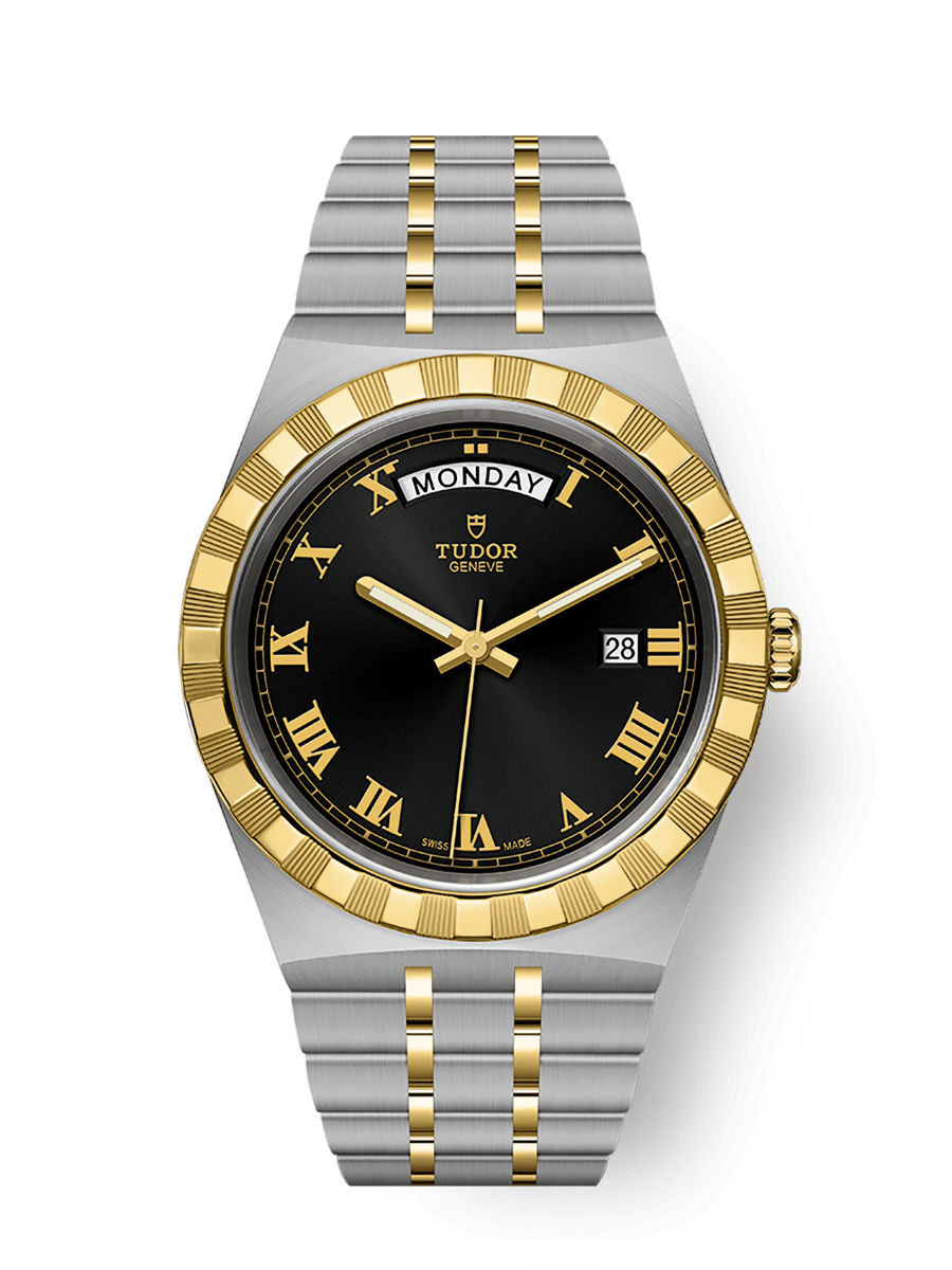 Tudor steel and gold best sale