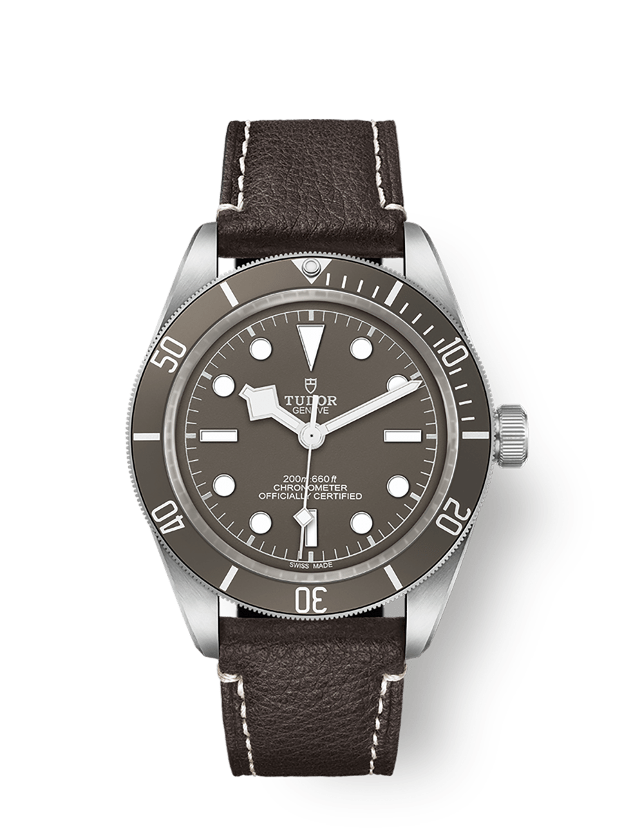 TUDOR Black Bay 58 925 watch - m79010sg-0001 | TUDOR Watch