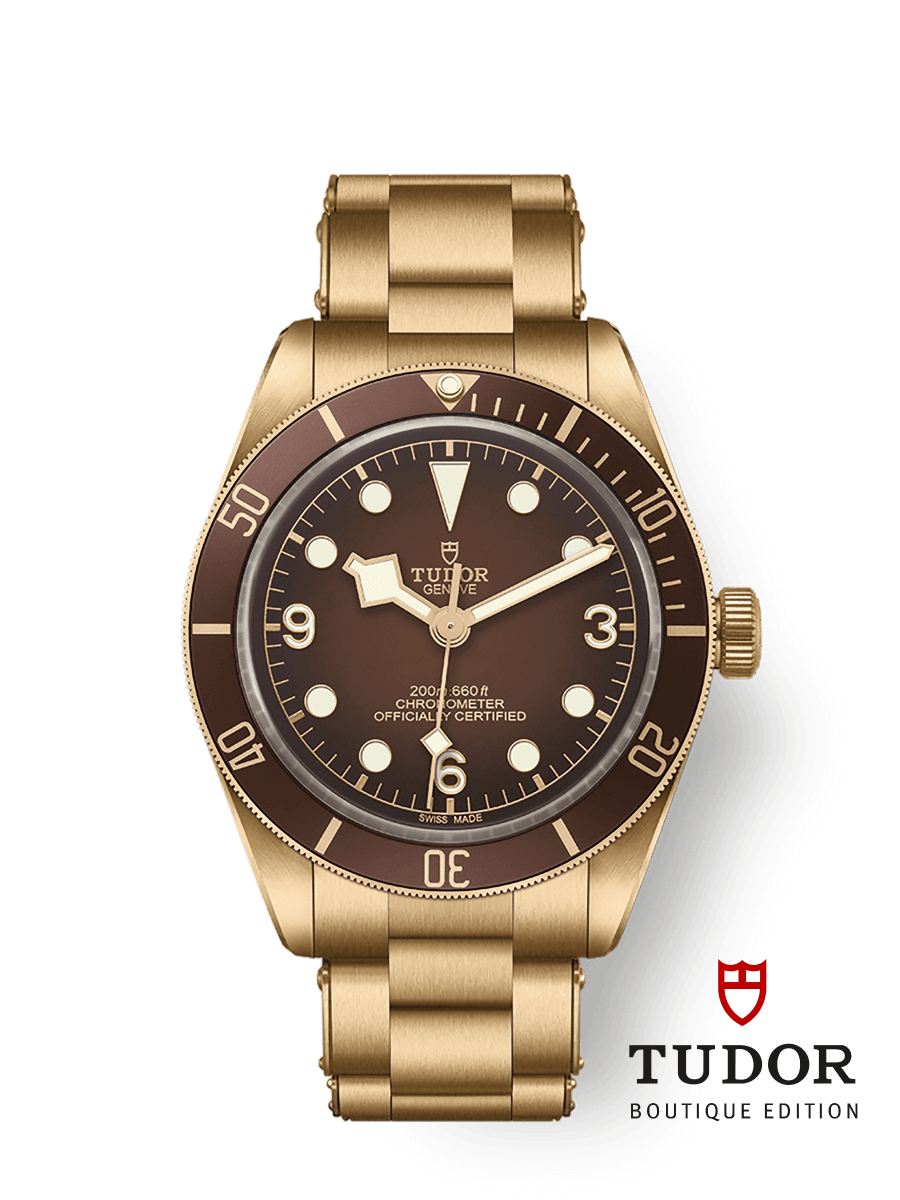 競売 チューダー/チュードル TUDOR ブラックベイ 58 ブロンズ 79012M 時計 - statcaremc.com