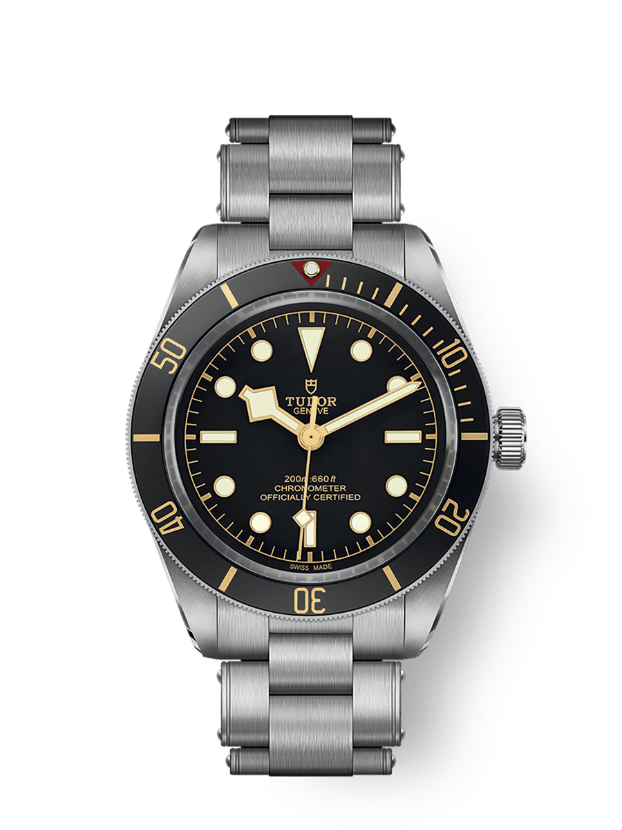 TUDOR ブラックベイ 58 Ref.M79030B-0001 品 メンズ 腕時計