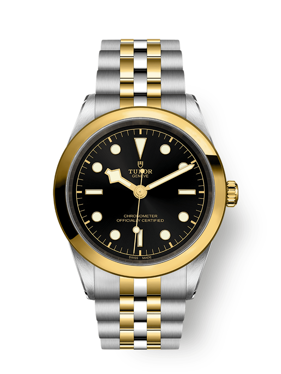 チューダー Black Bay 41 S&G ウォッチ - m79683-0001 - Tudor