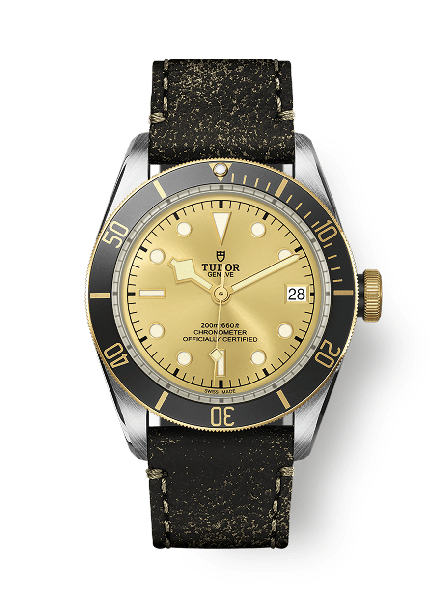 Tudor black bay s&g champagne discount