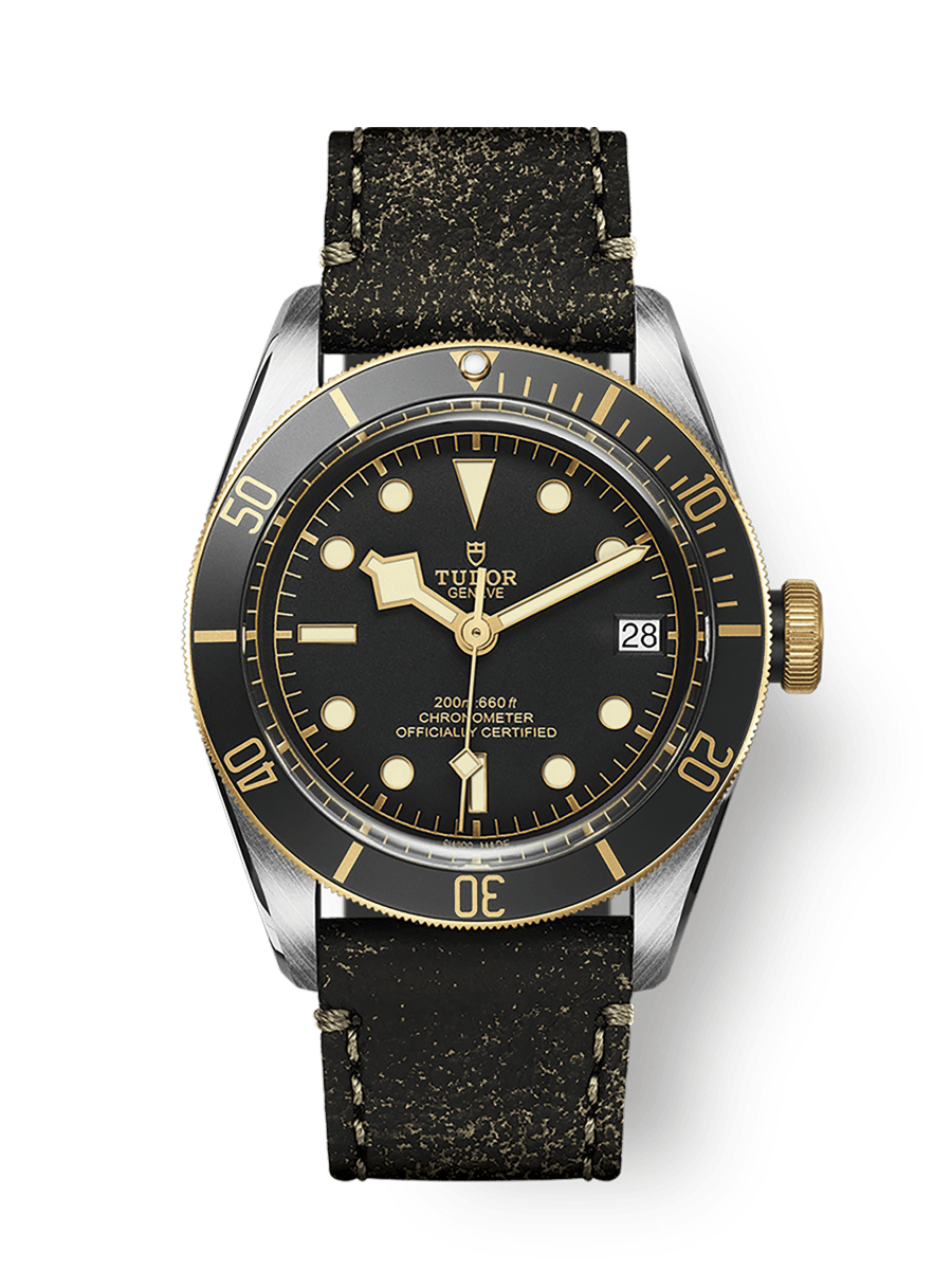 TUDOR Black Bay S&G watch - m79733n-0007 | TUDOR Watch