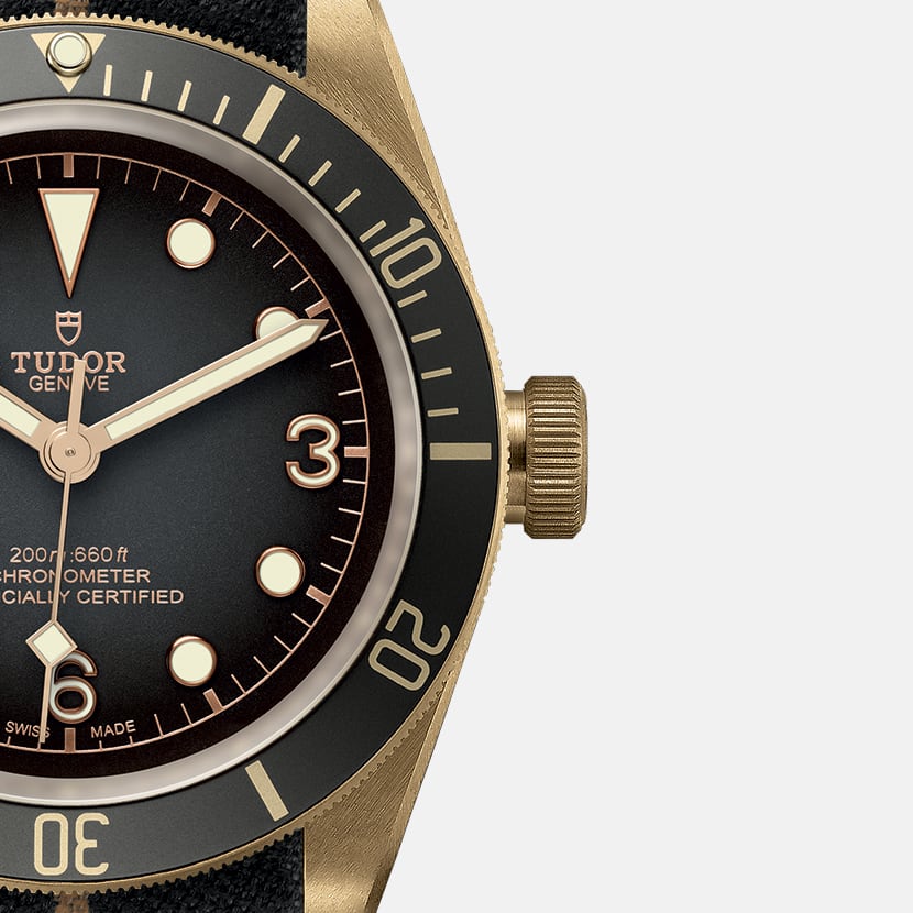 בלאק ביי ברונזה