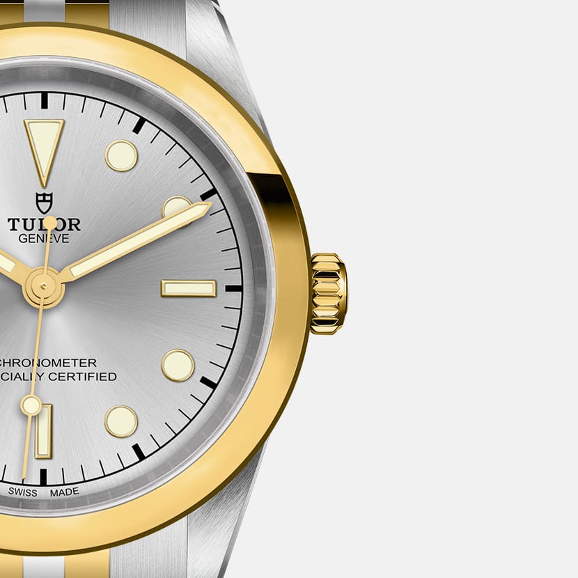 碧湾一型 41黄金钢款