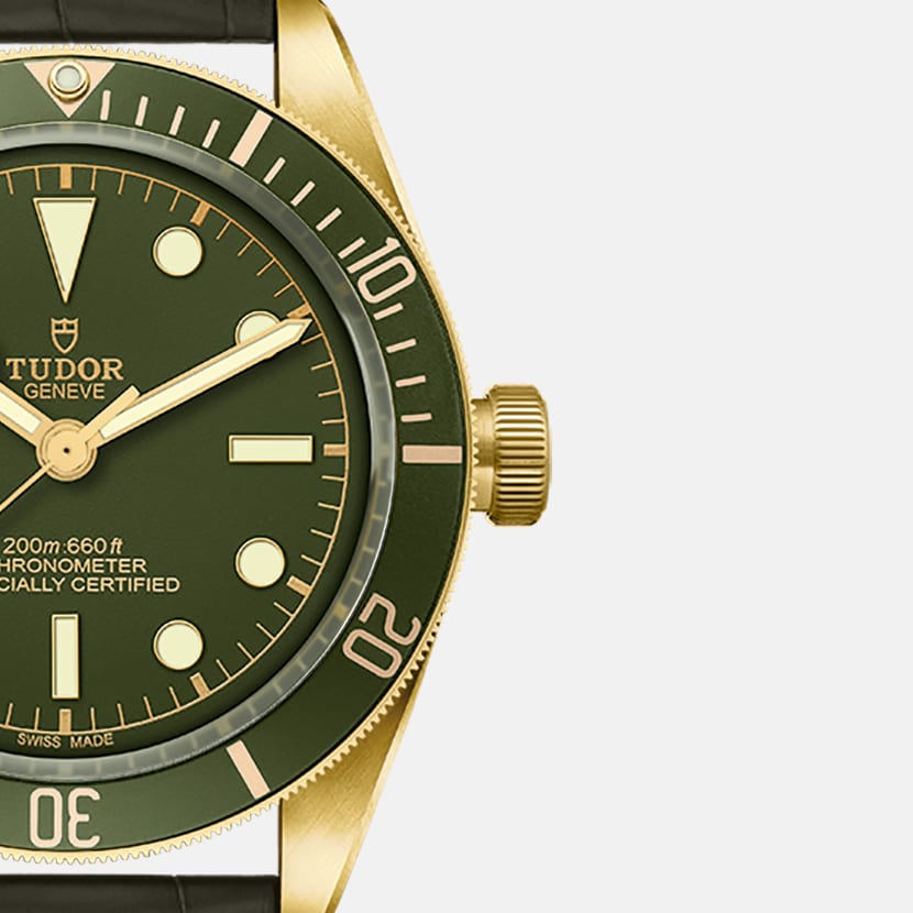 Tudor black bay bronze green hot sale
