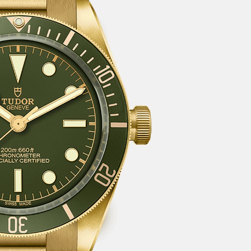 TUDOR Black Bay 58 18K watch - m79018v-0006 | TUDOR Watch