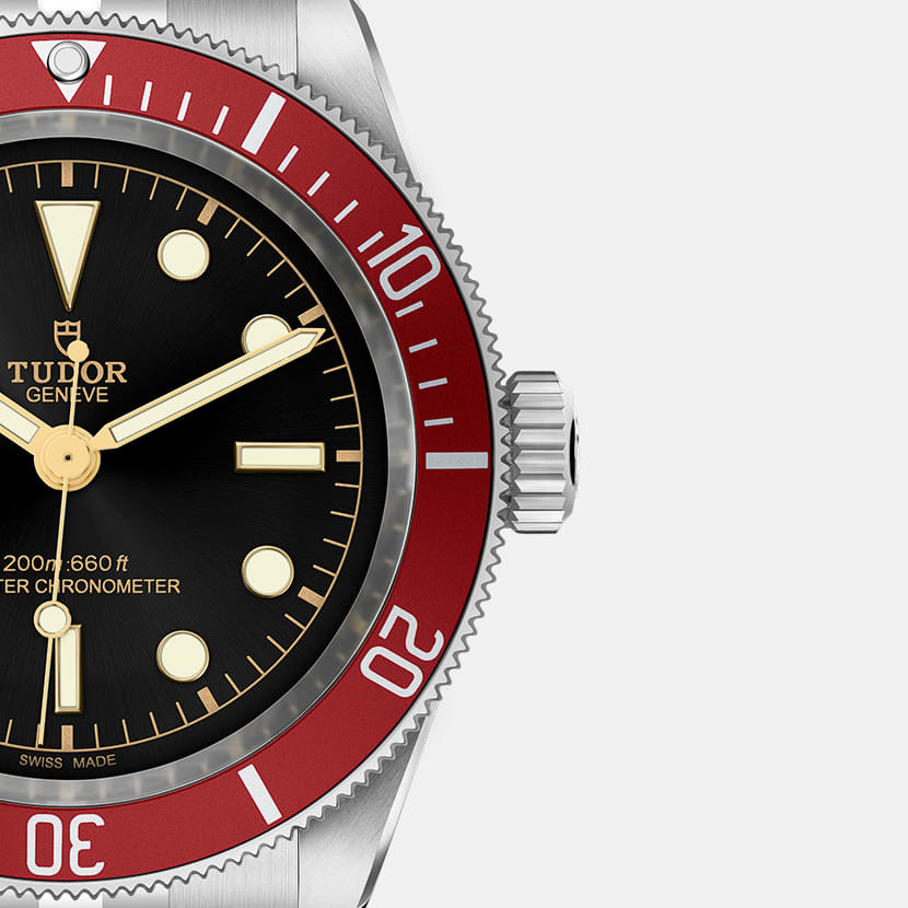 Tudor rose black bay cheap
